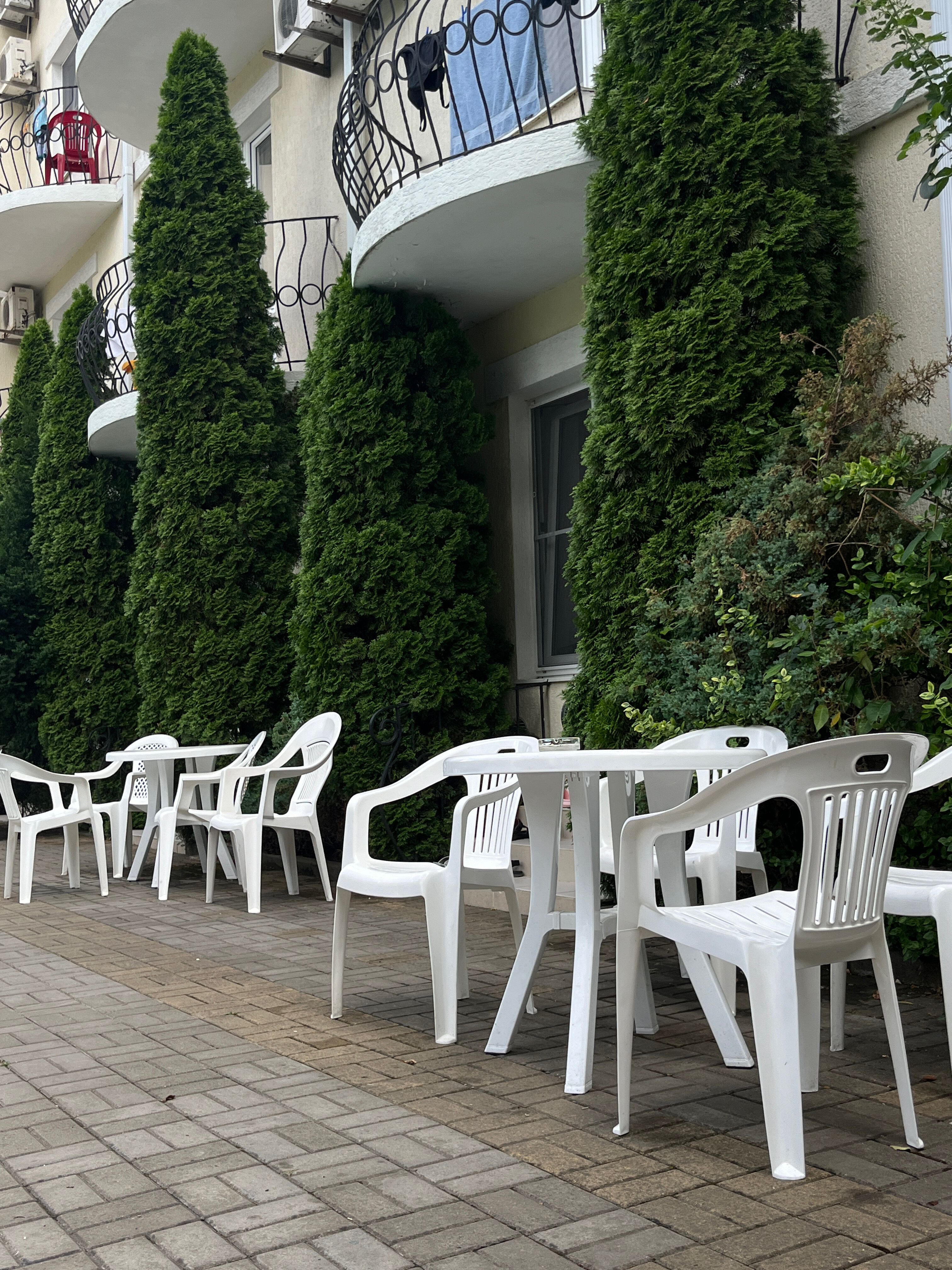 Фото Золотой Каштан