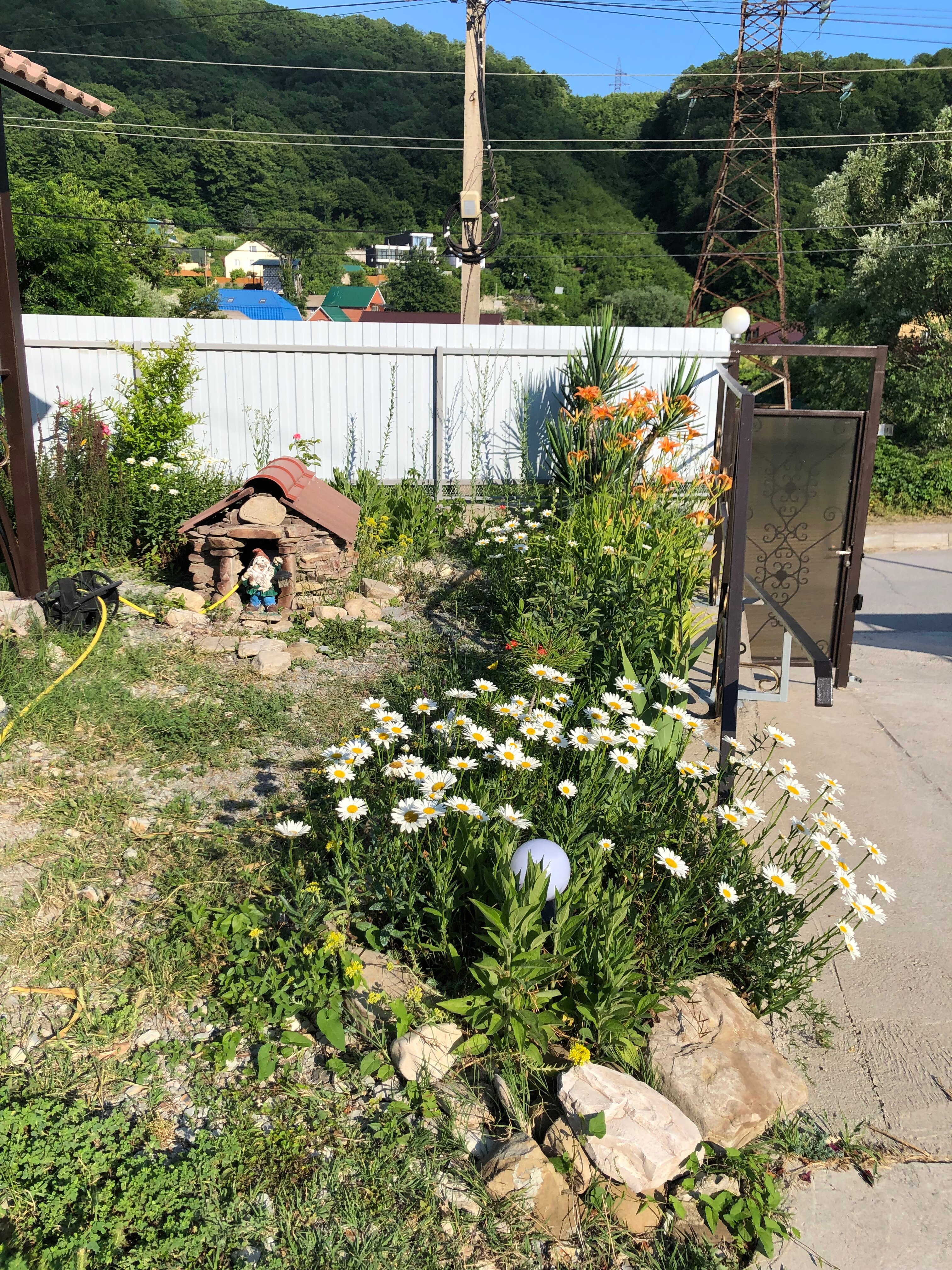 Фото Приморский