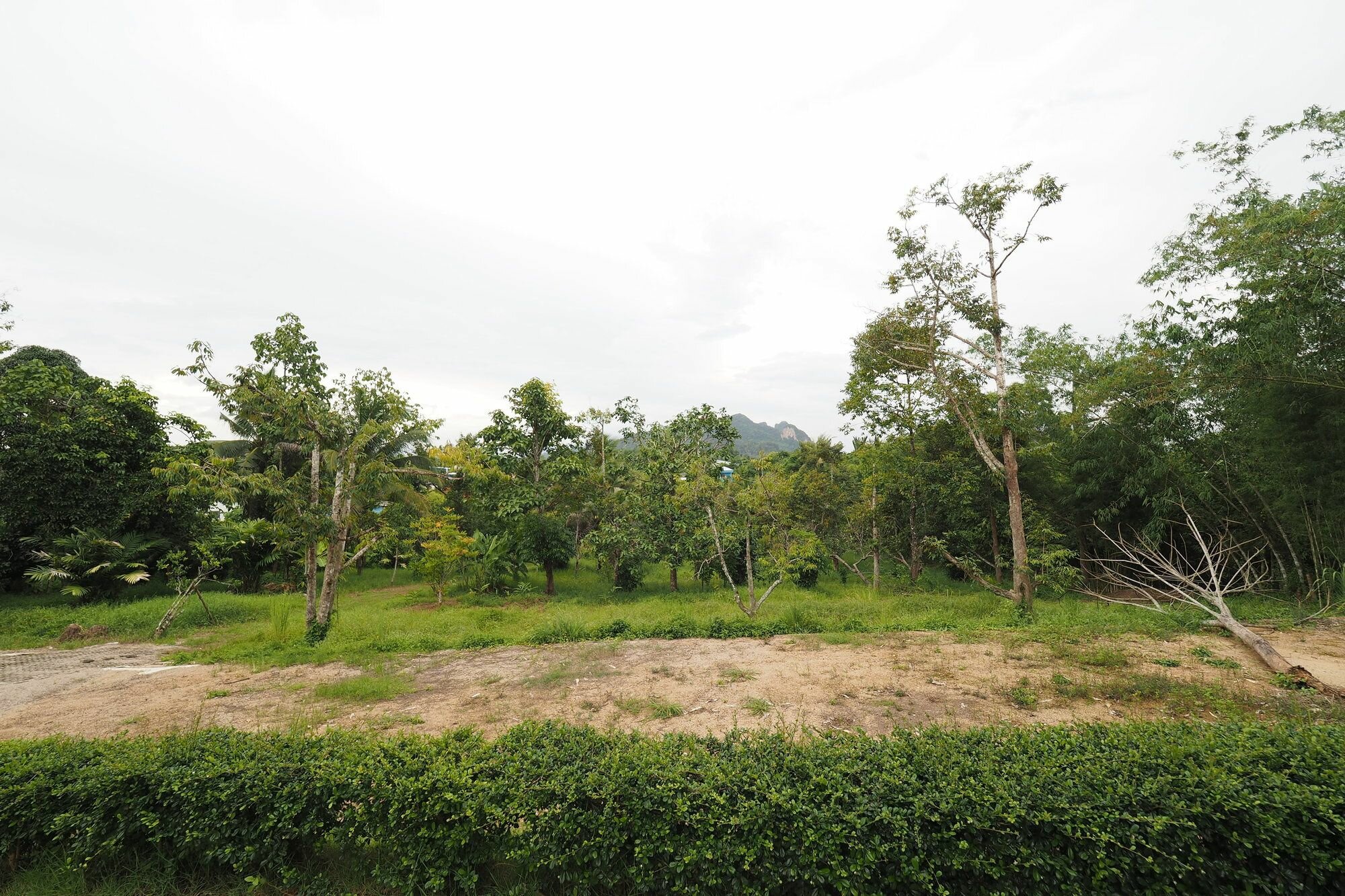 Фото The Box House