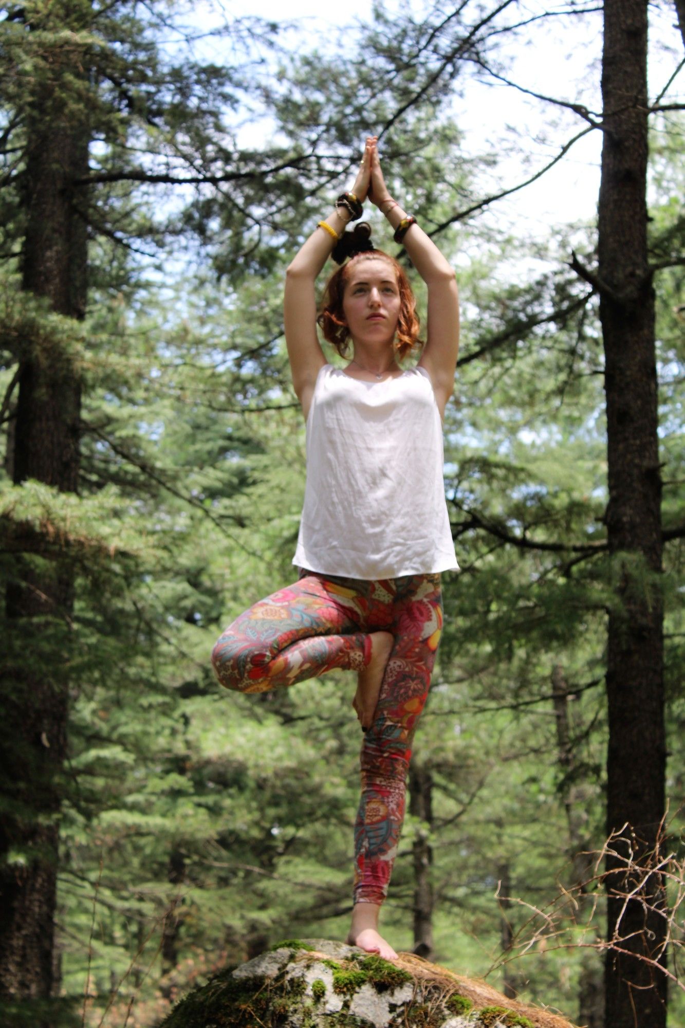 Фото Tall Trees Resort by OpenSky