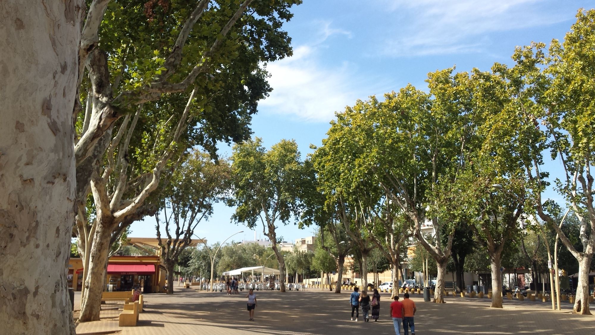 Фото Hostel A2c - Adults Only