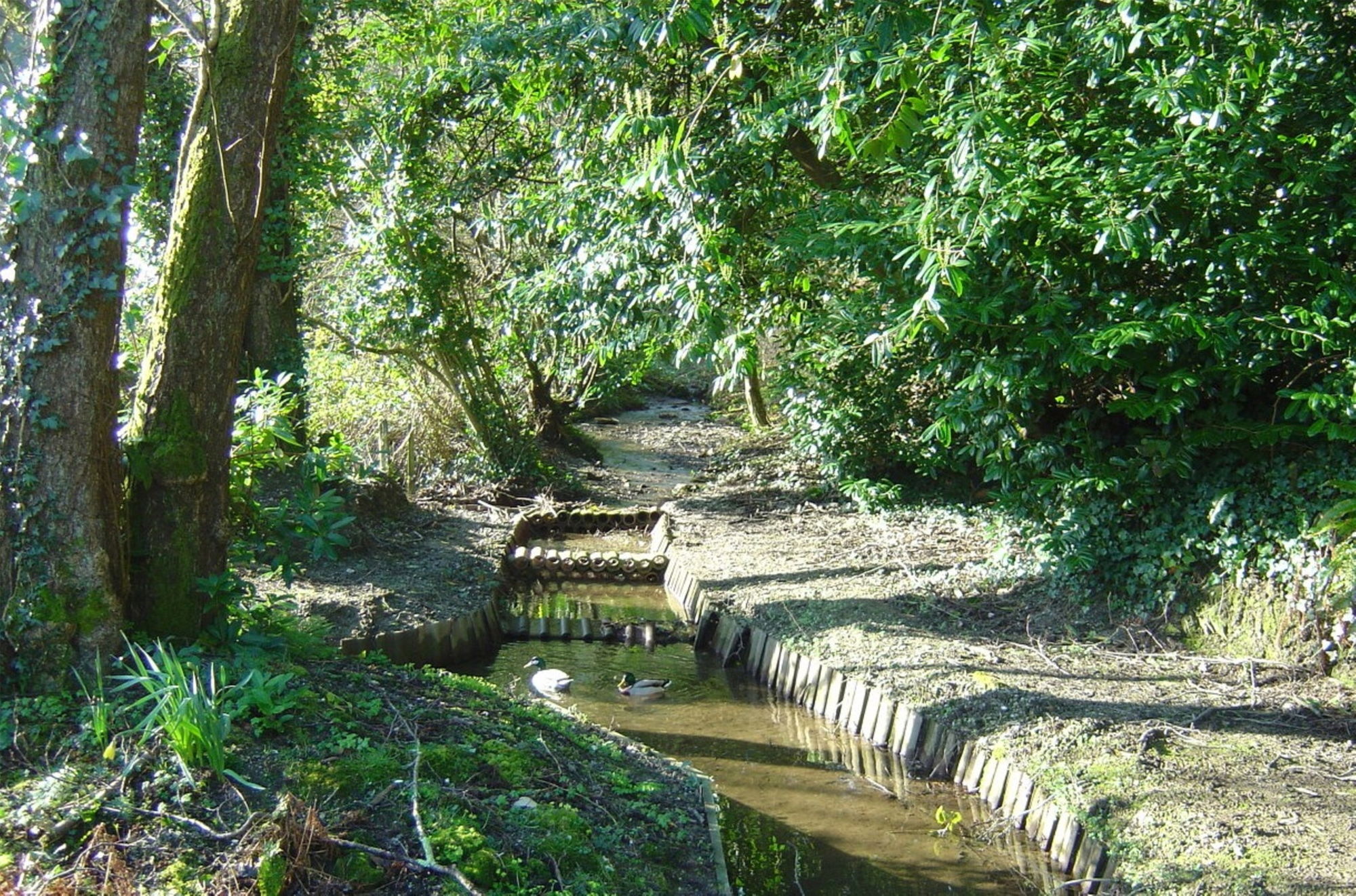 Фото Score Valley Country House
