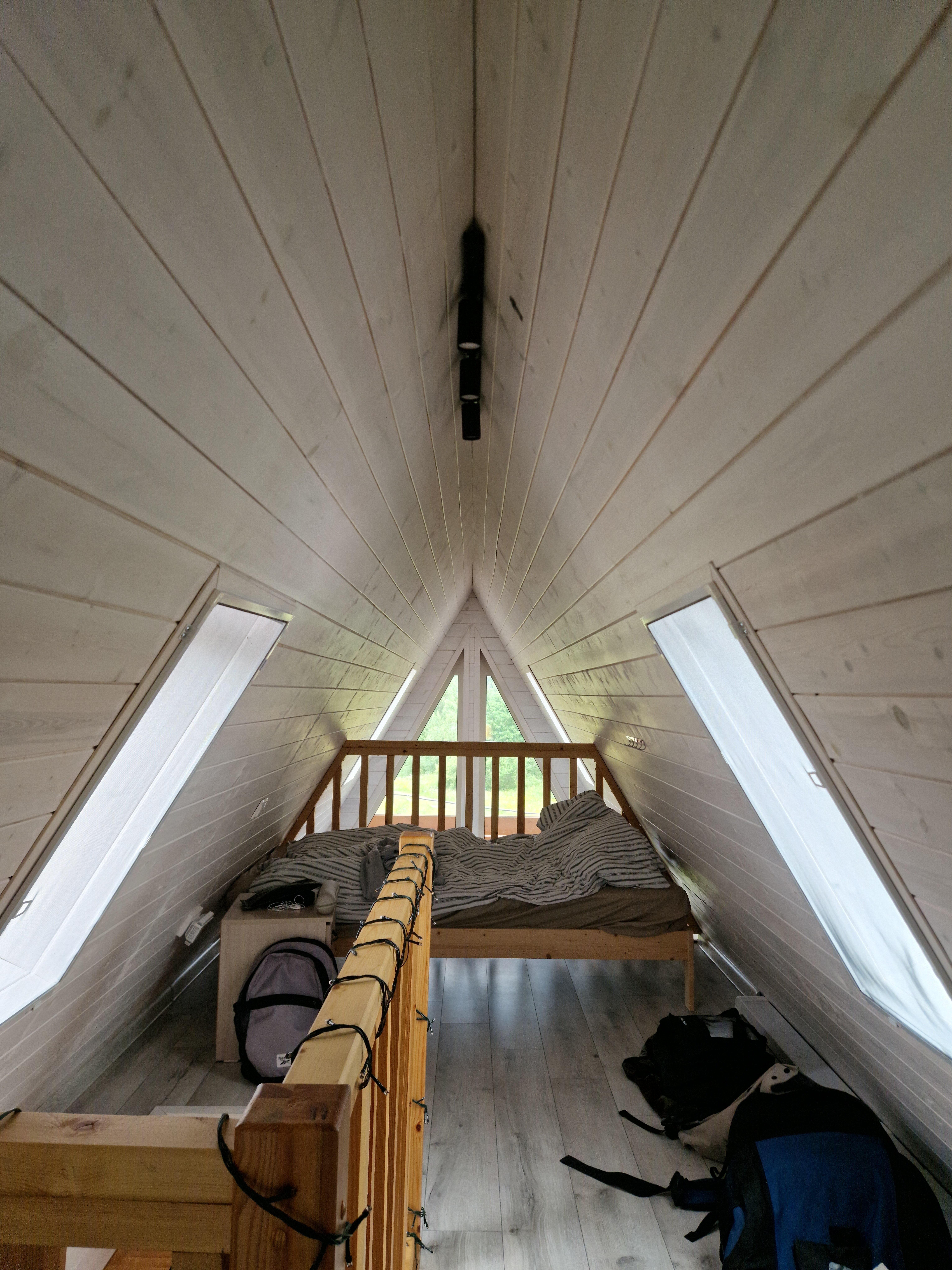 Фото Белый кит