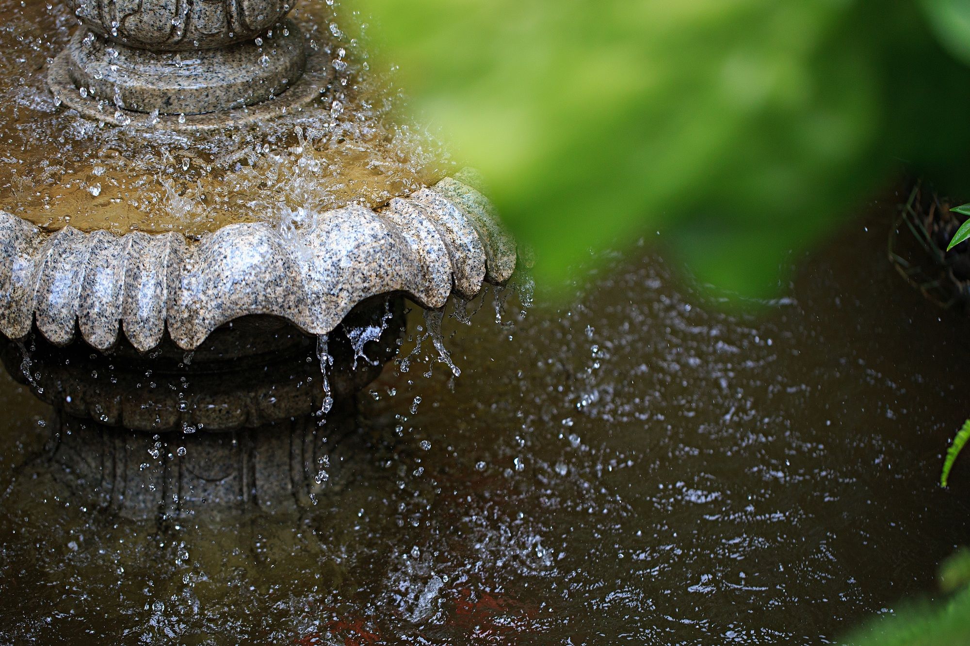 Фото China Old Story Inns Dali Ancient Town