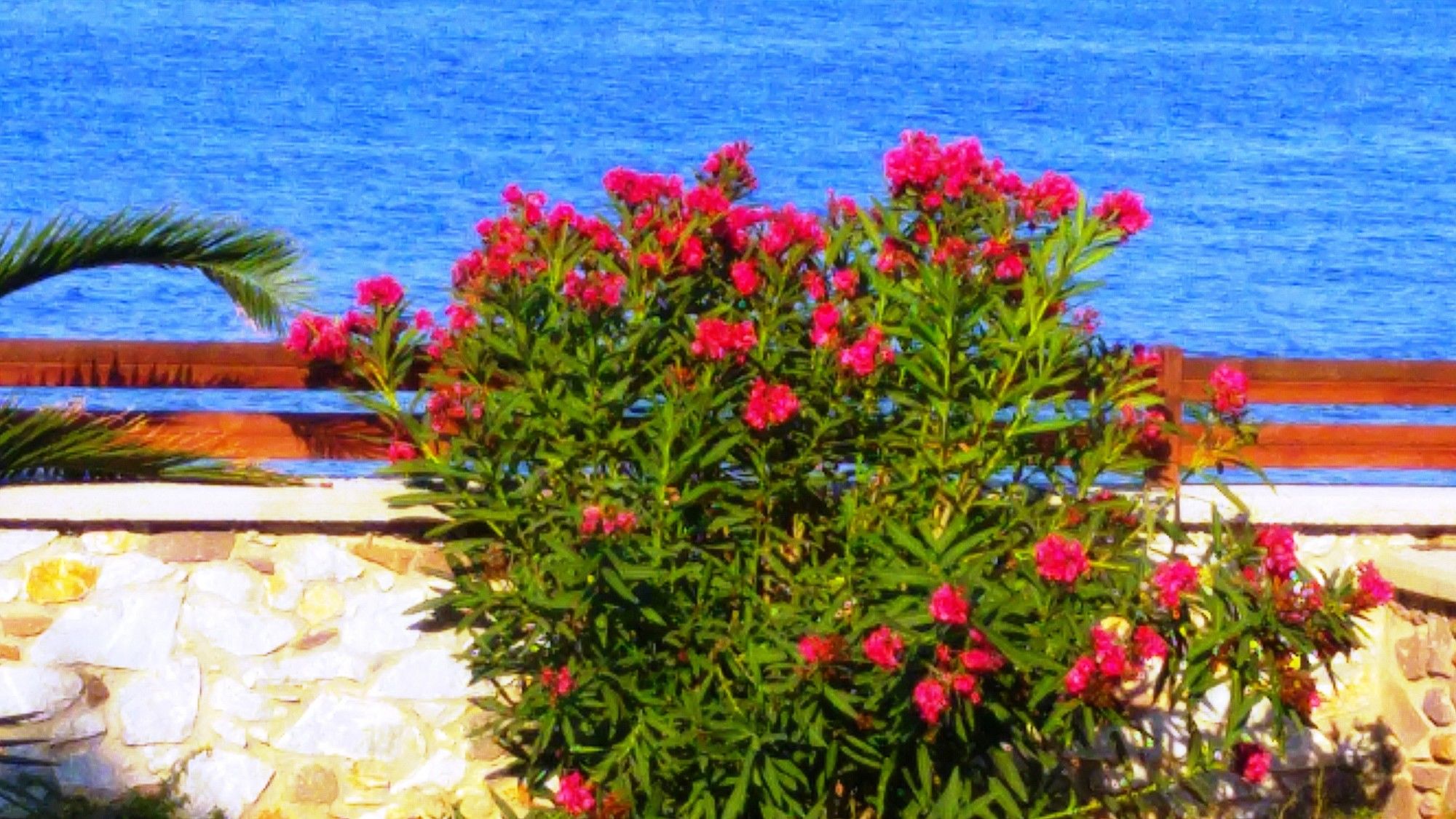 Фото Nitelli's Houses