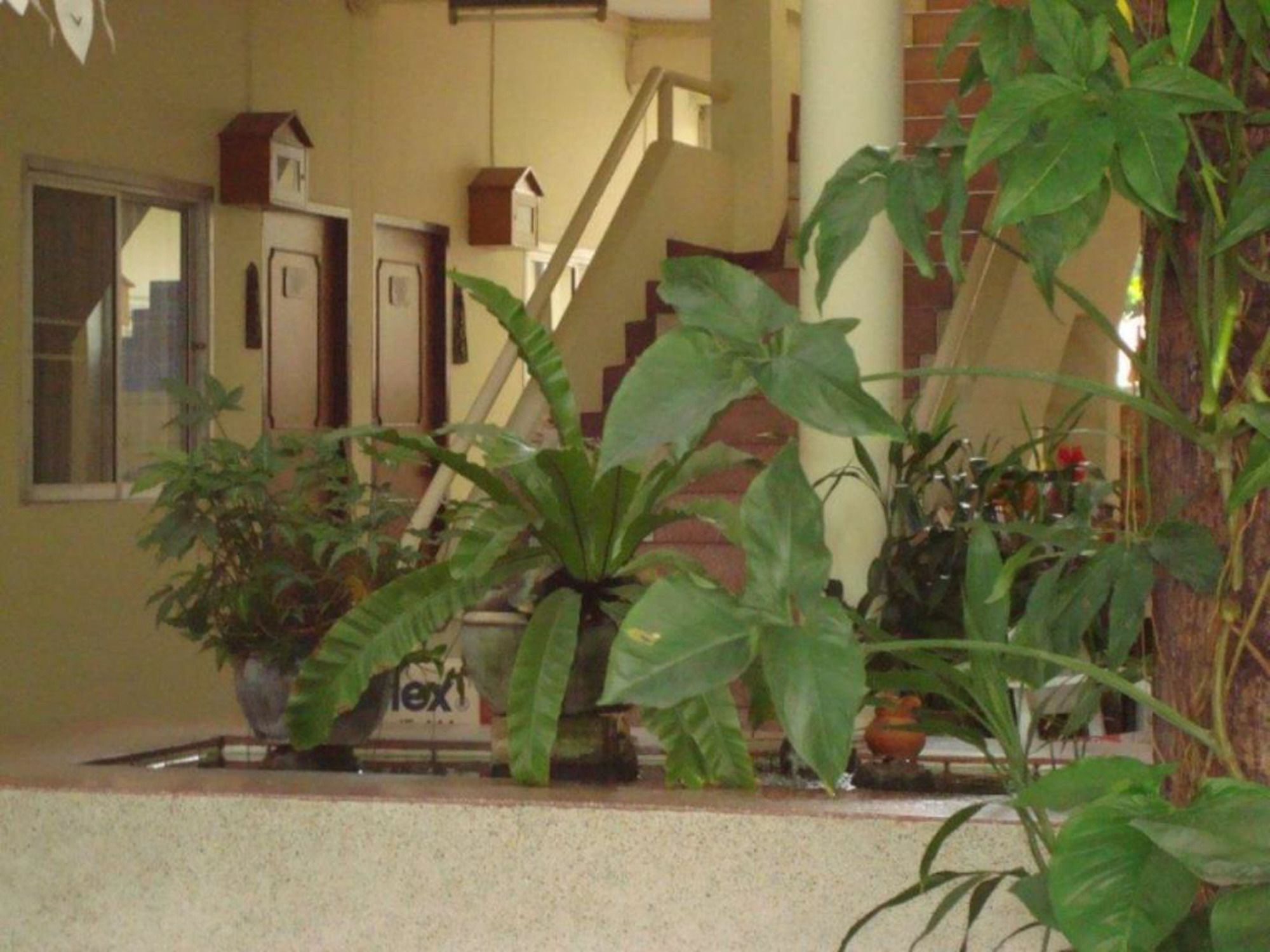 Фото Safe House Court