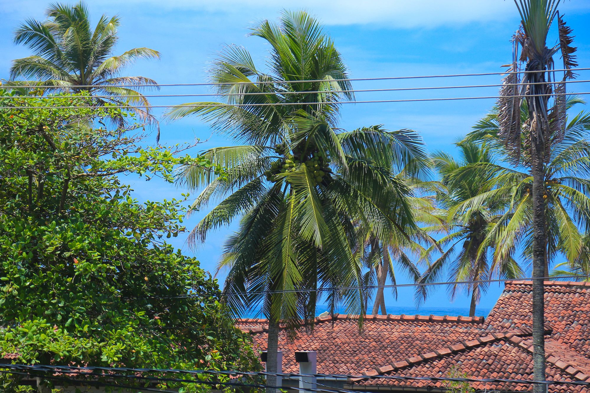 Фото Aurora Hotel & Restaurant