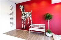 Фото 101 Dalmatinac