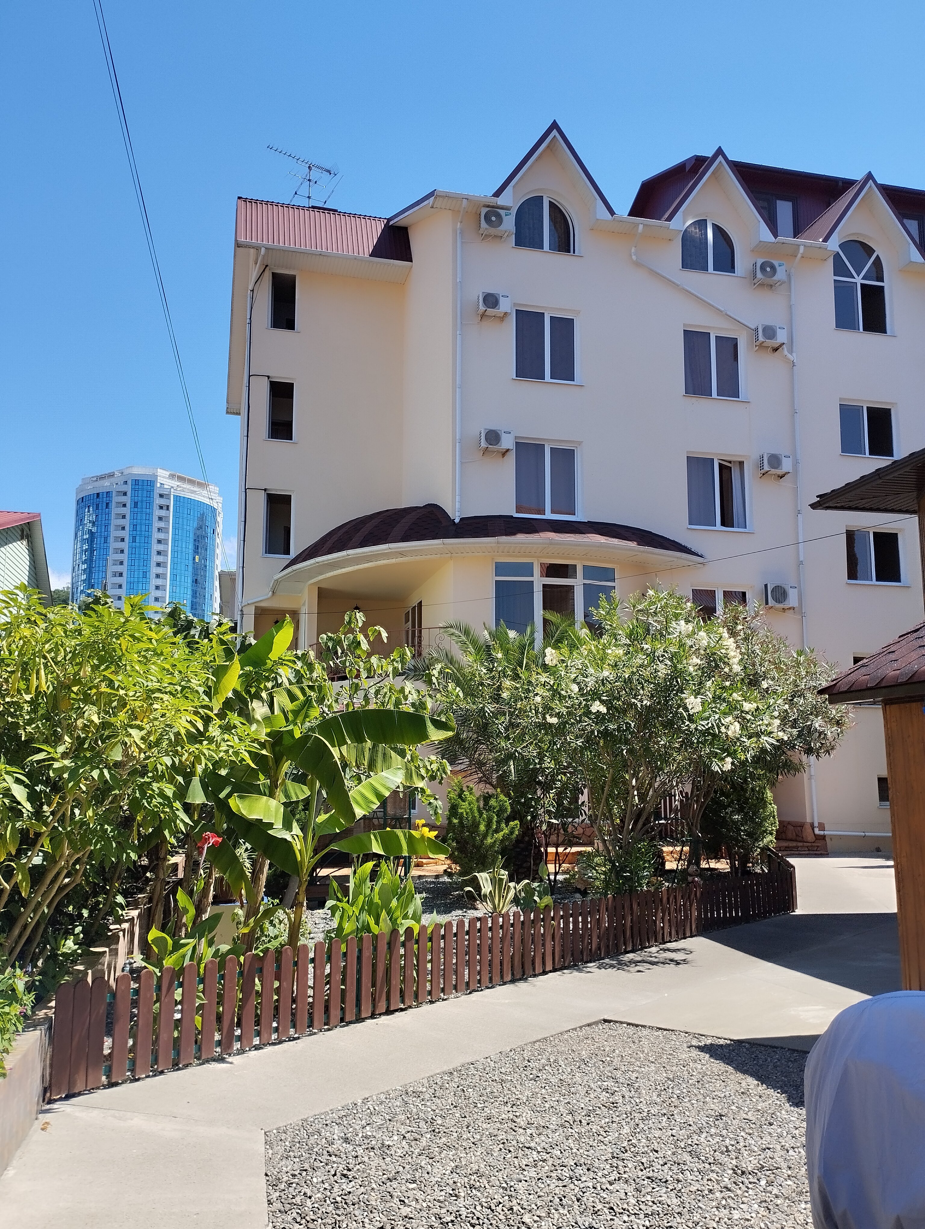 Фото Светлый Аллама групп