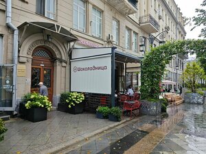 Кипарис