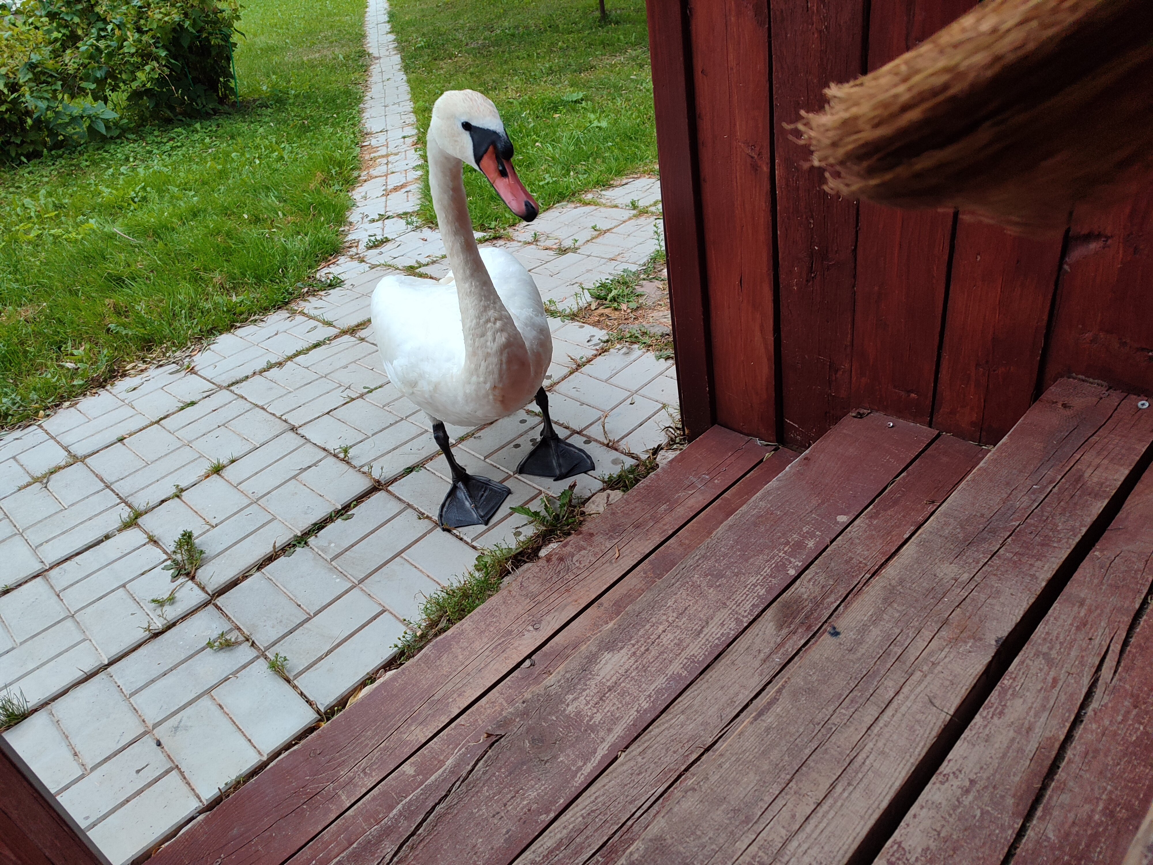 Фото Дом на берегу