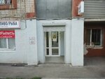 Пиво/рыба (Partizanskaya Street, 192А), grocery