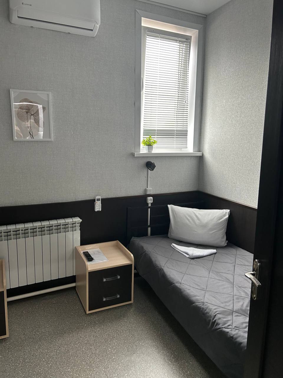 Фото Колибри