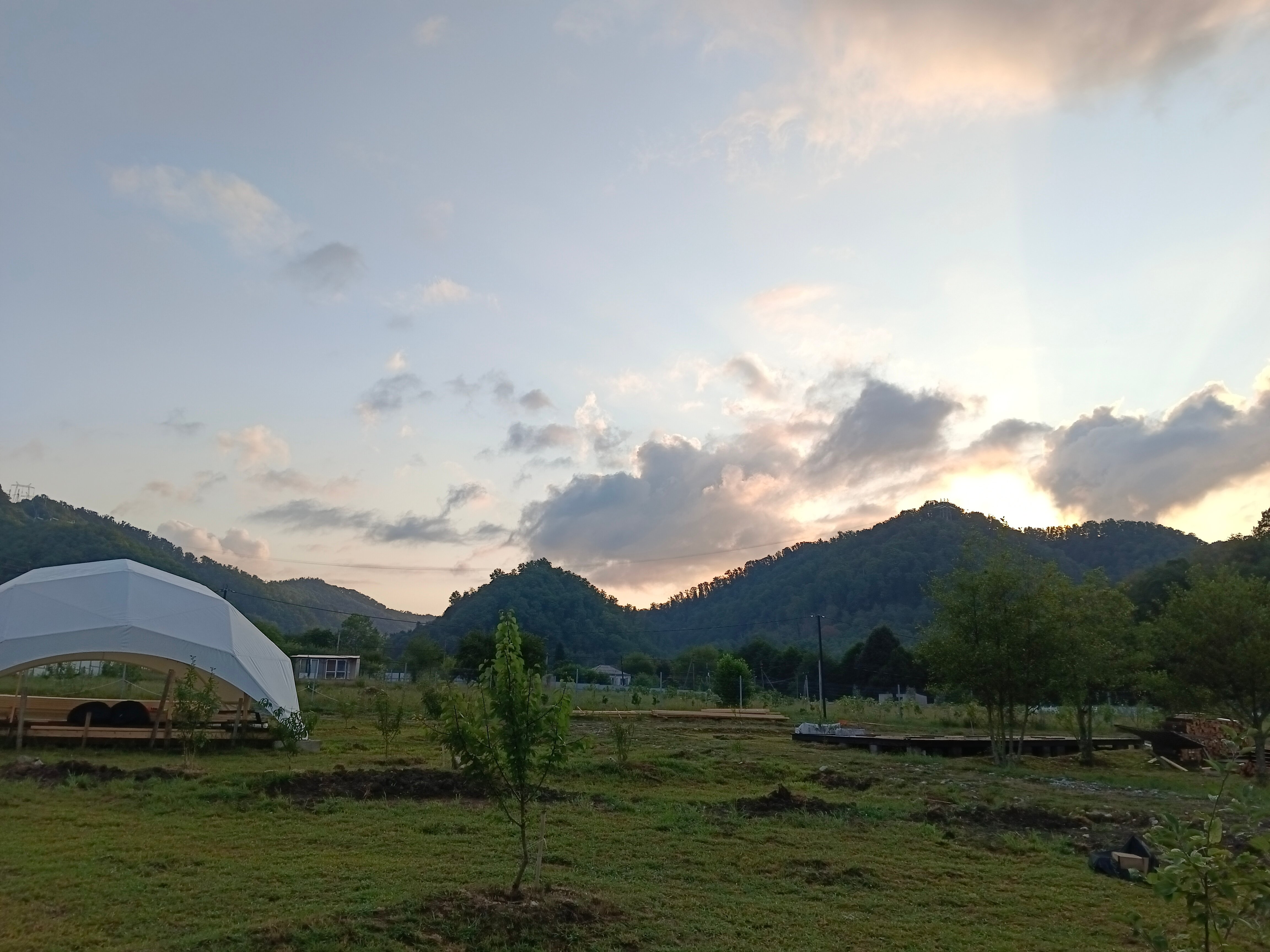 Фото Сад чудес