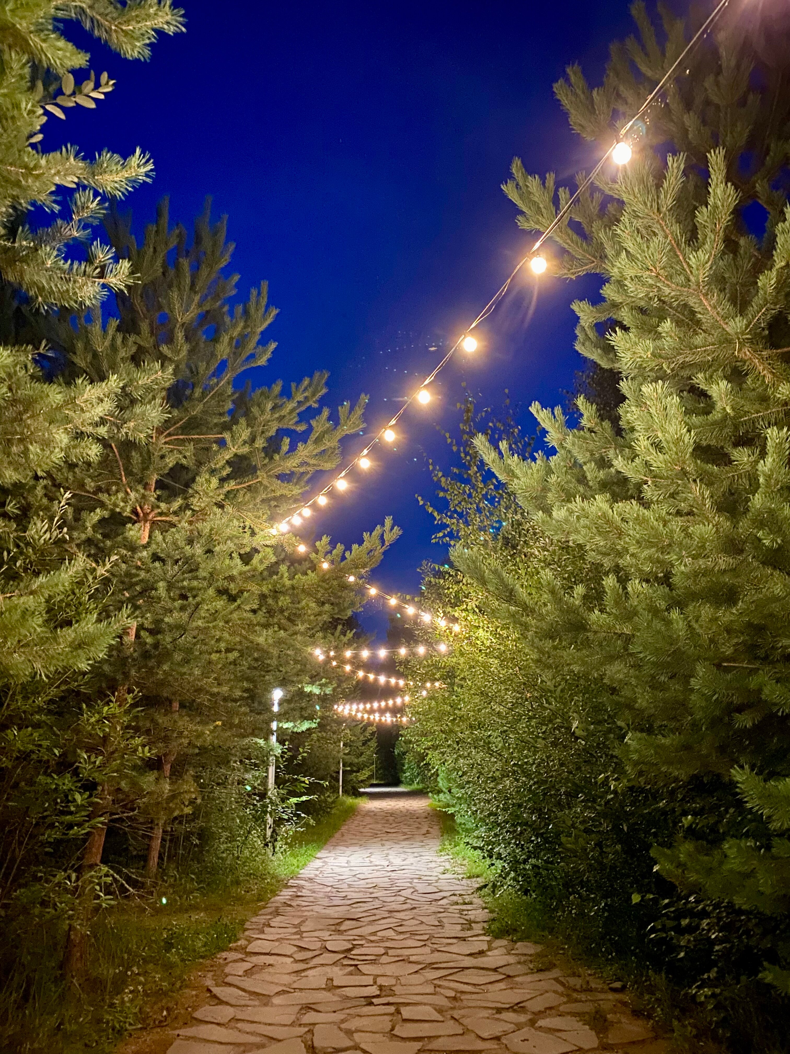 Фото Фрегат