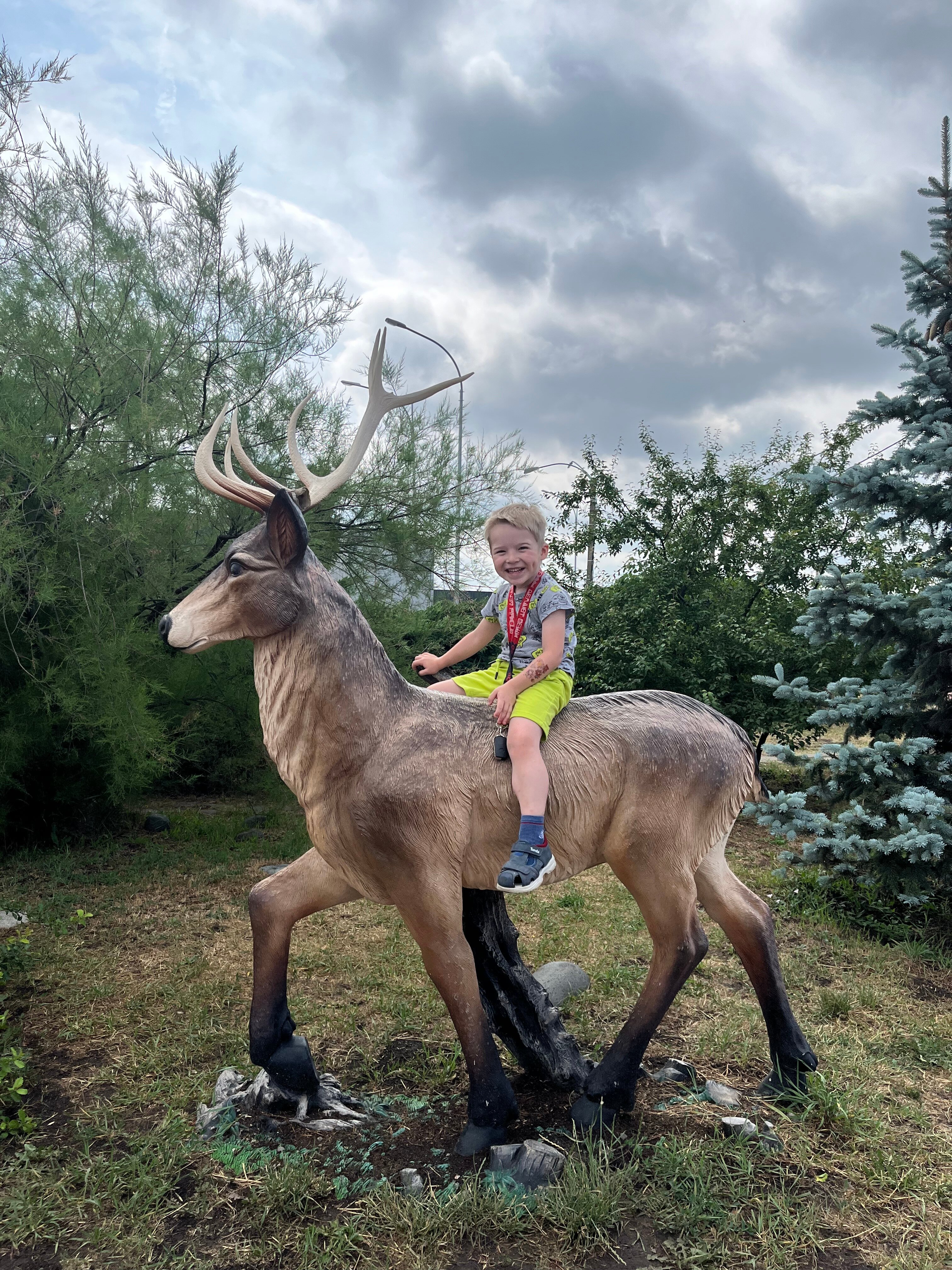 Фото Роза Ветров