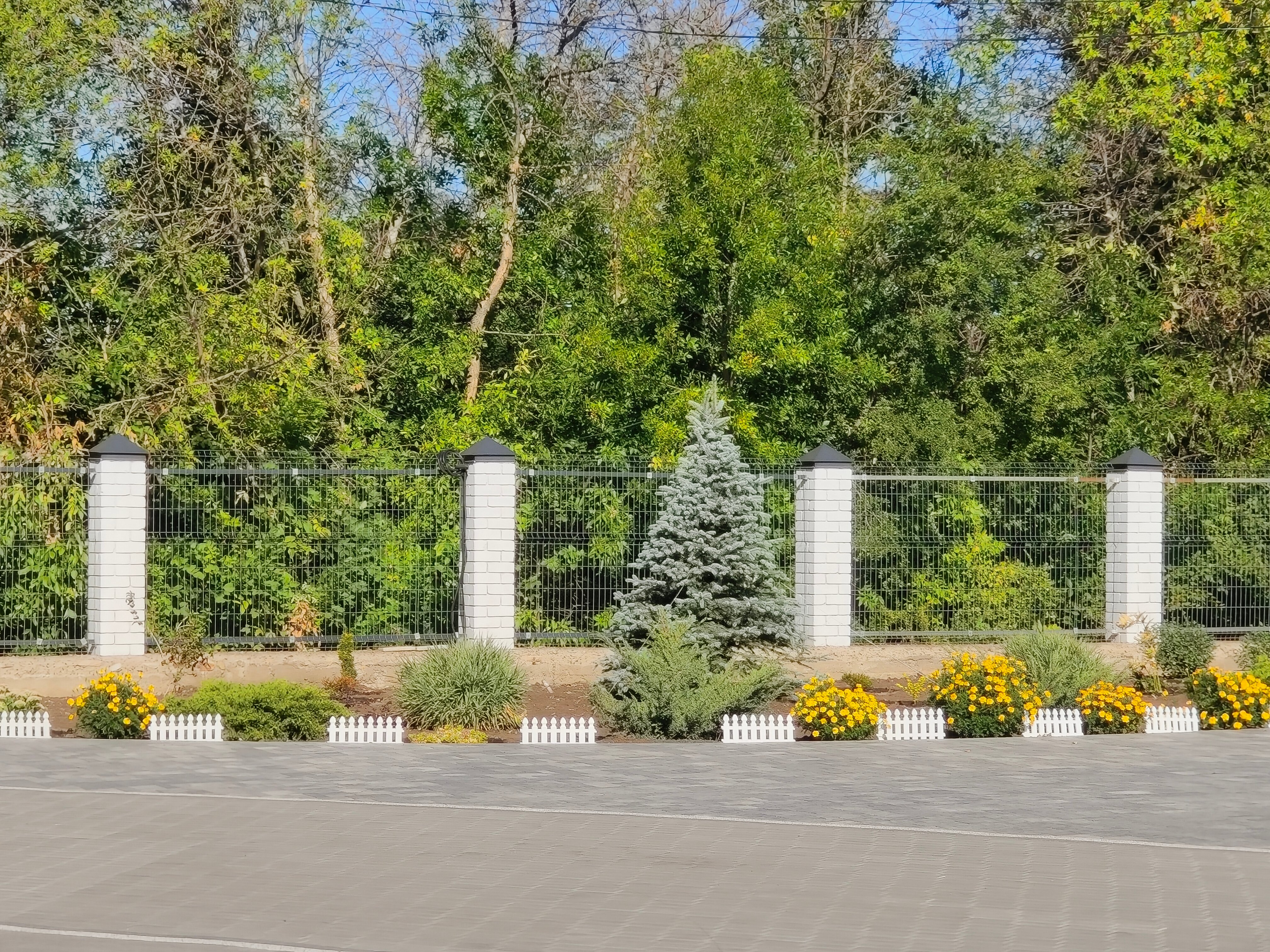 Фото Тихий дворик