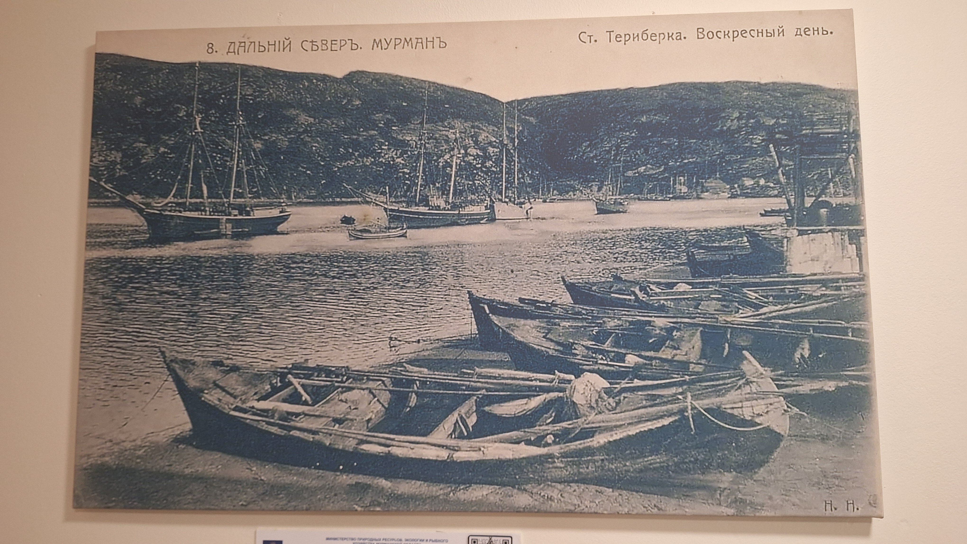 Фото Cedar Grass Териберка