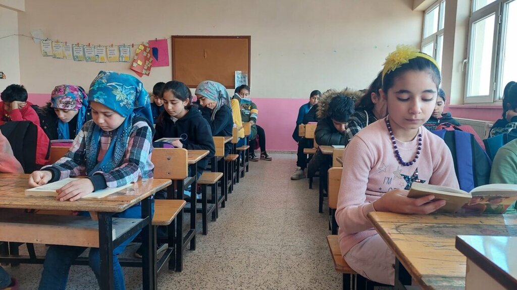 School Bediuzzaman Said Nursi Imam Hatip Secondary School, Viransehir, photo