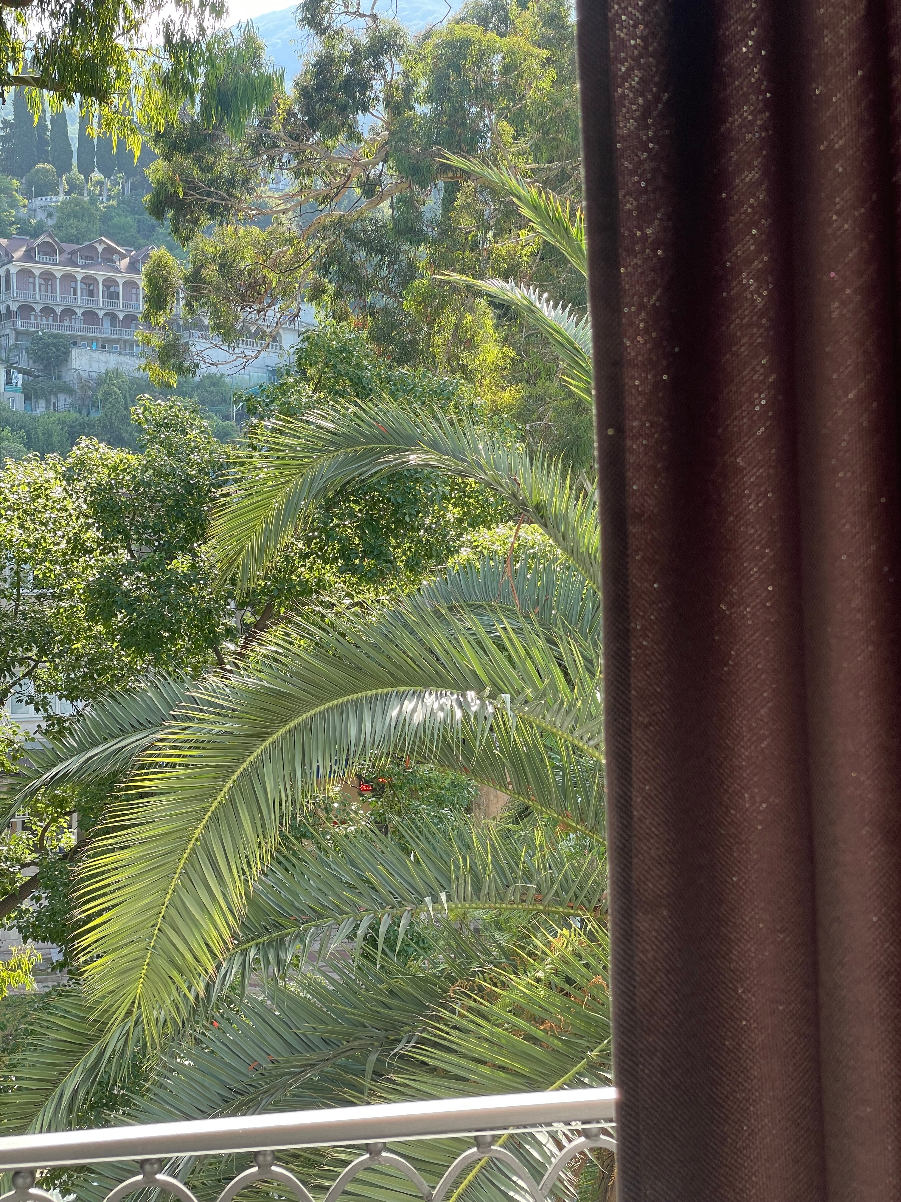 Фото Prince Hotel Gagra