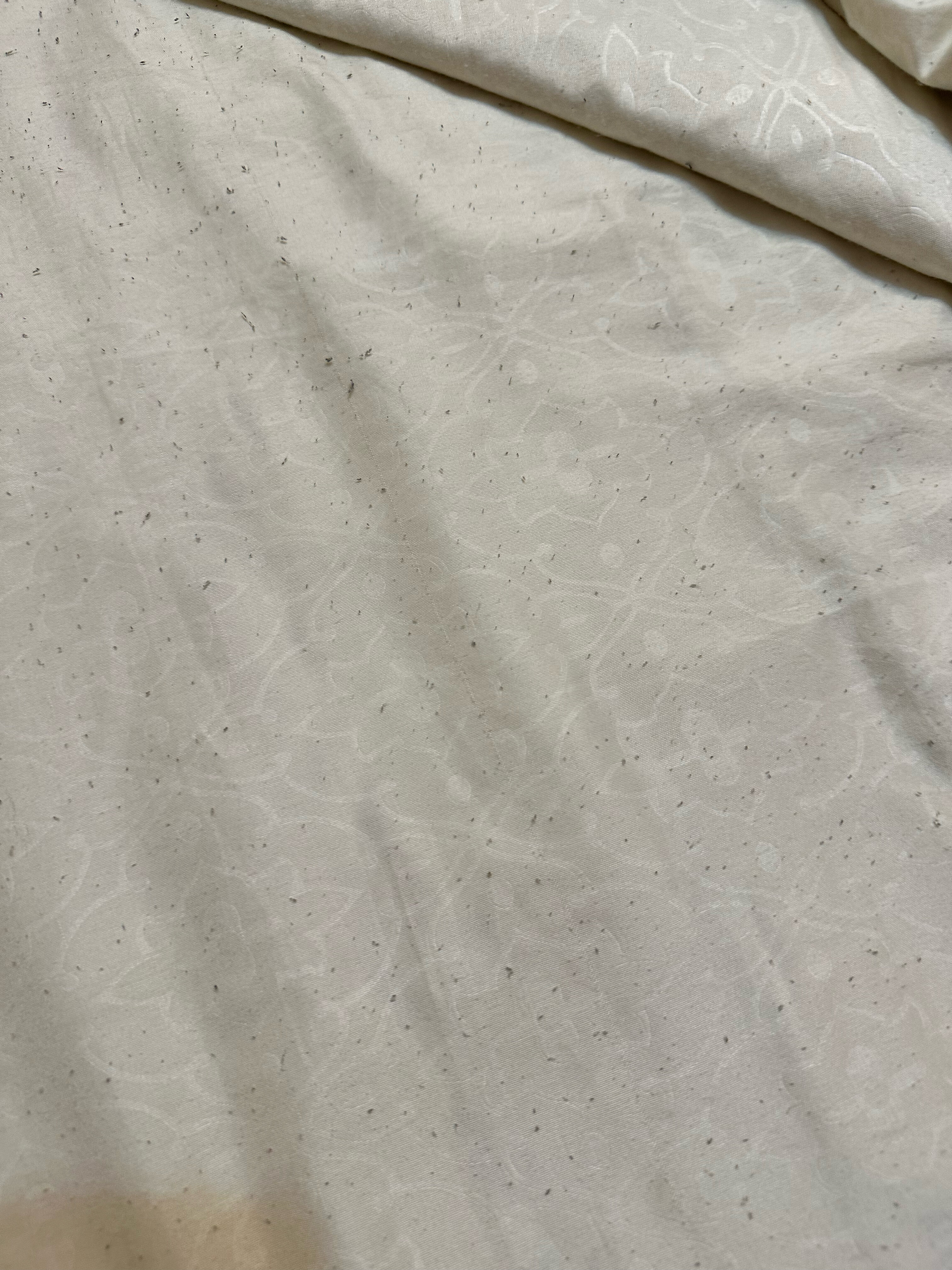 Фото Колосок