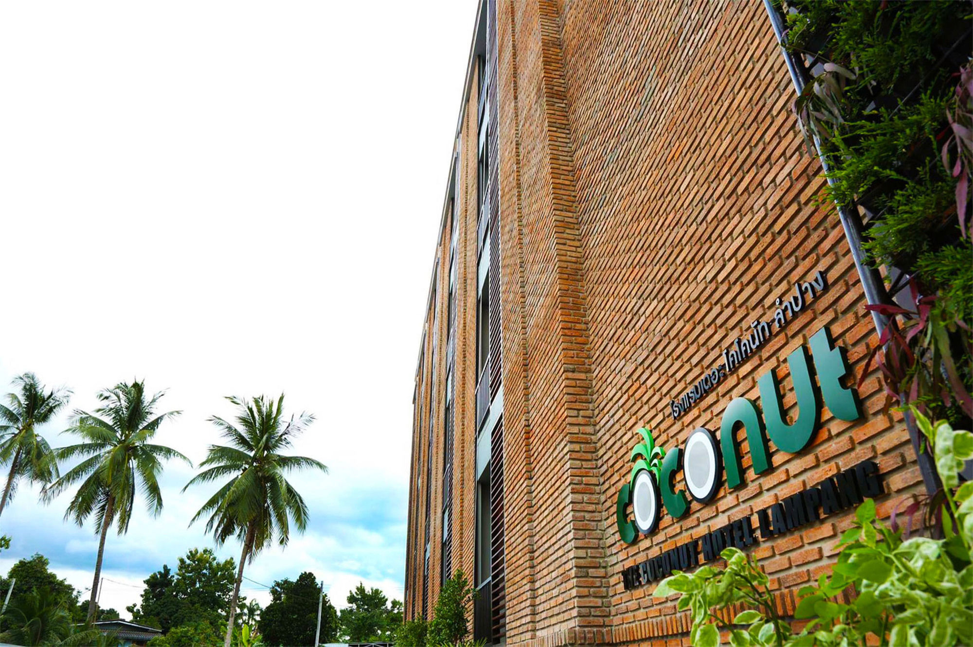 Фото The Coconut Hotel