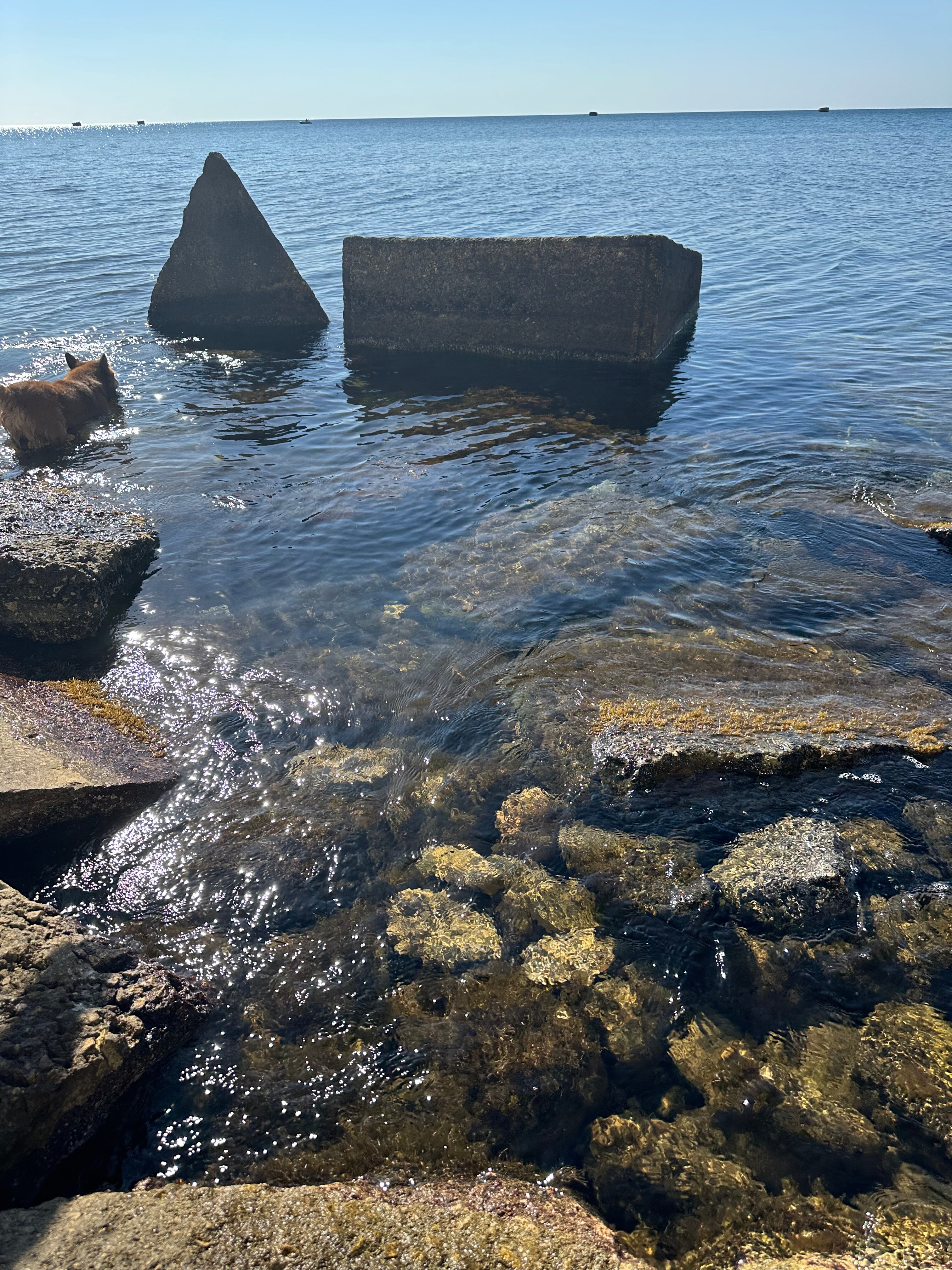 Фото У Моря