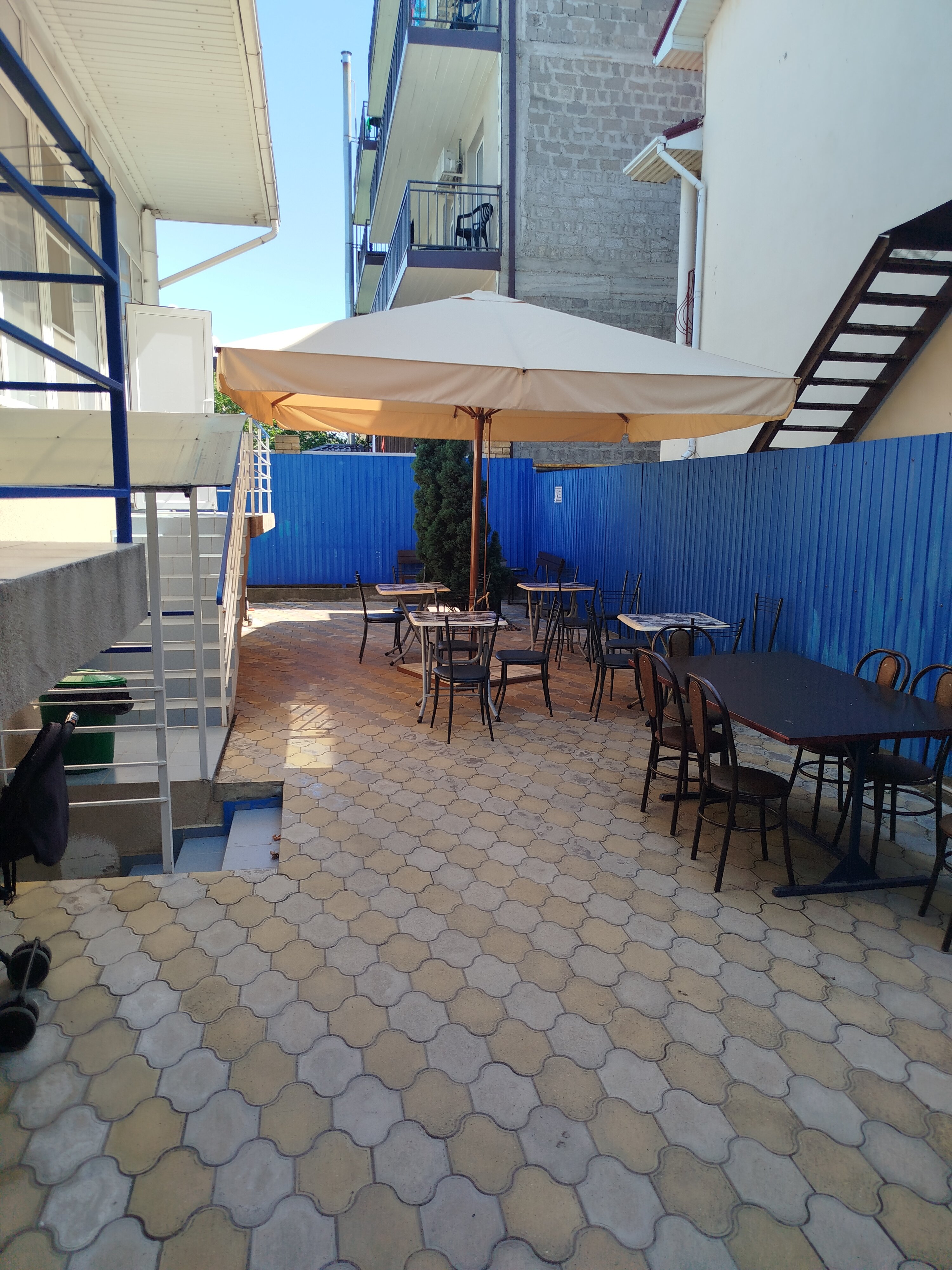 Фото Афалина