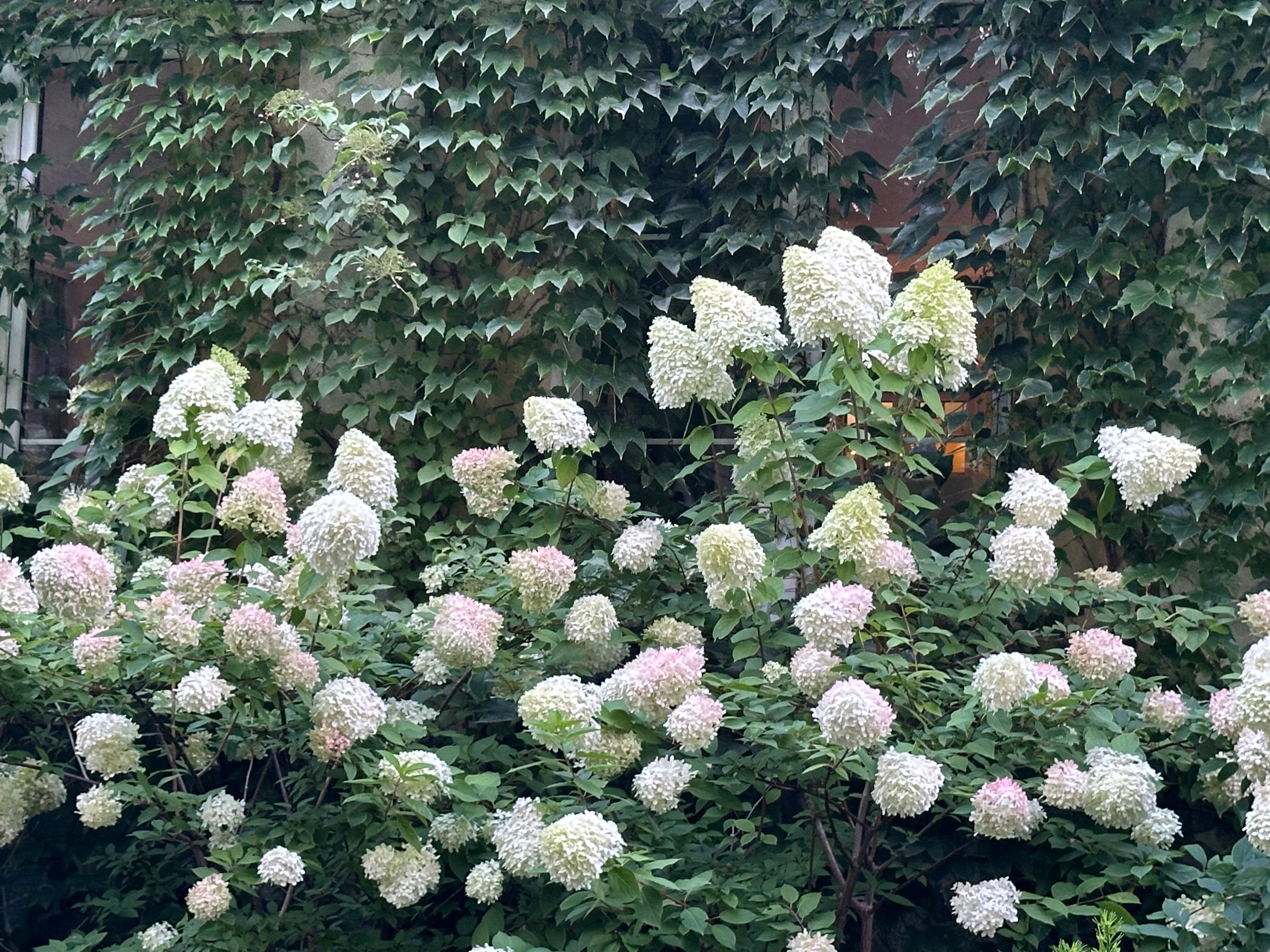 Фото Филипп