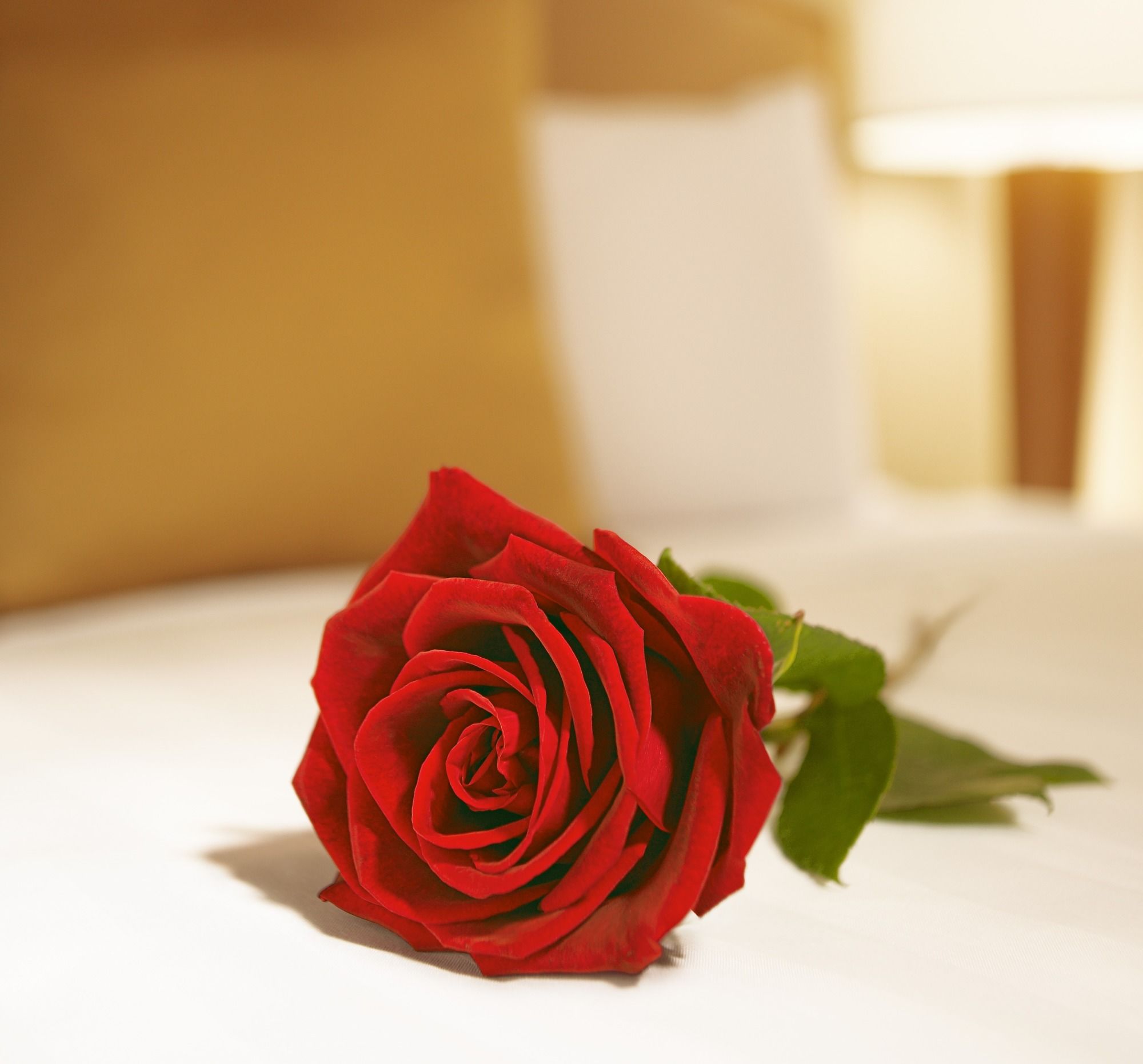 Фото Hyatt Regency Bishkek