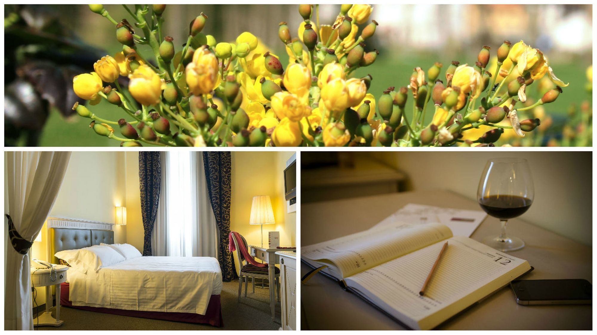 Фото Hotel Certaldo