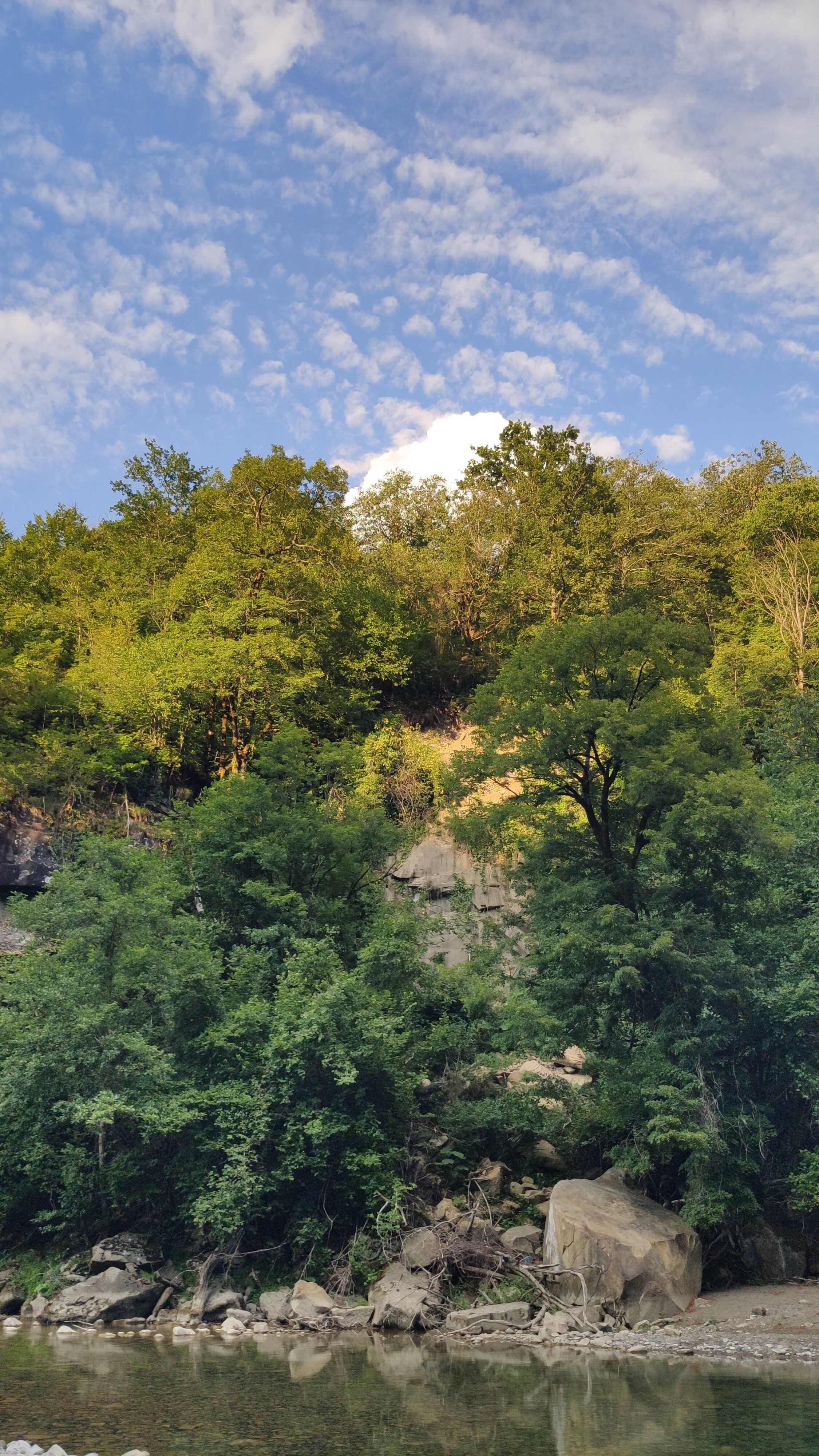 Фото Приют у реки