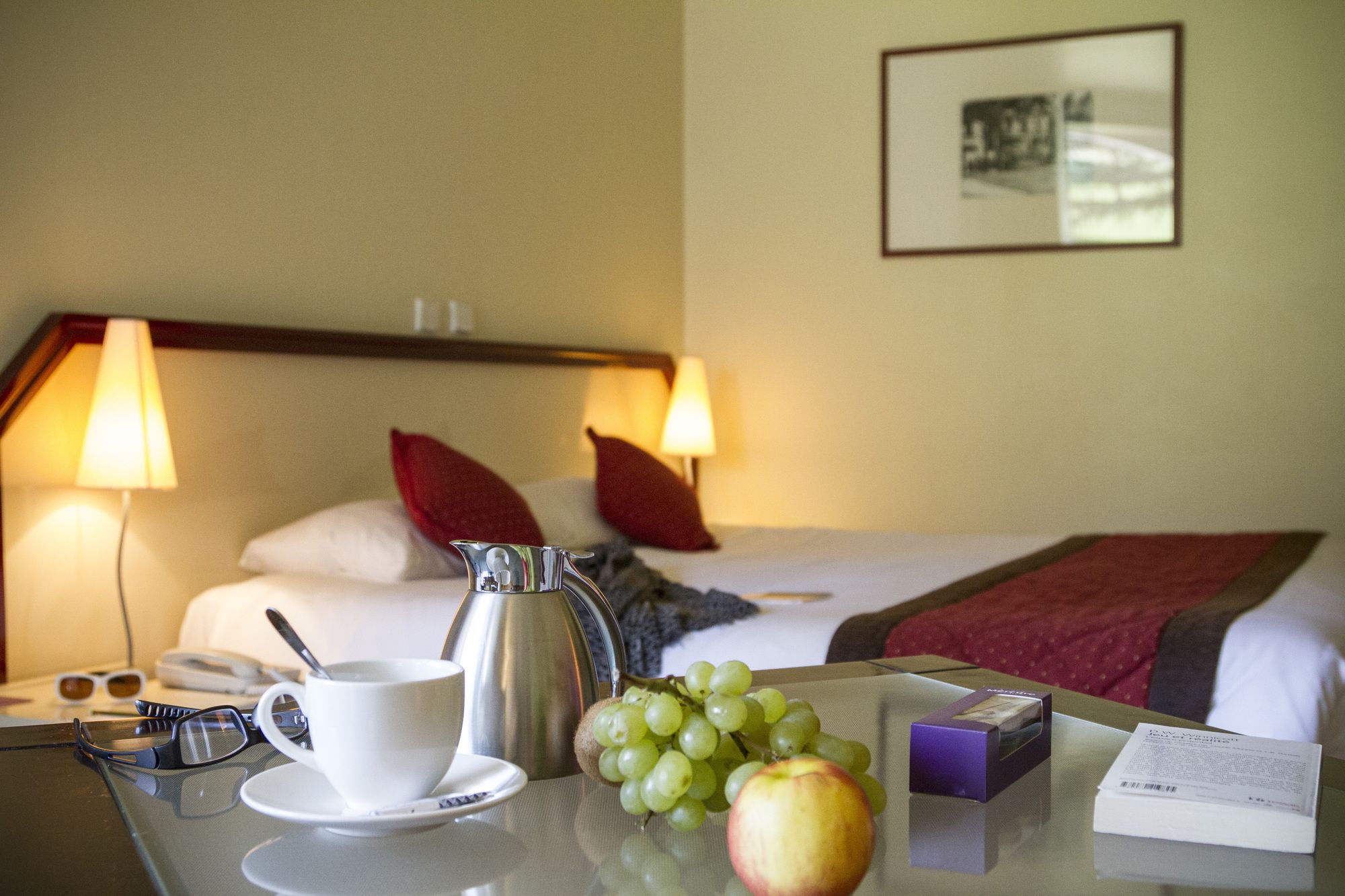 Фото Mercure Hotel & SPA Aix-les-Bains Domaine Marlioz