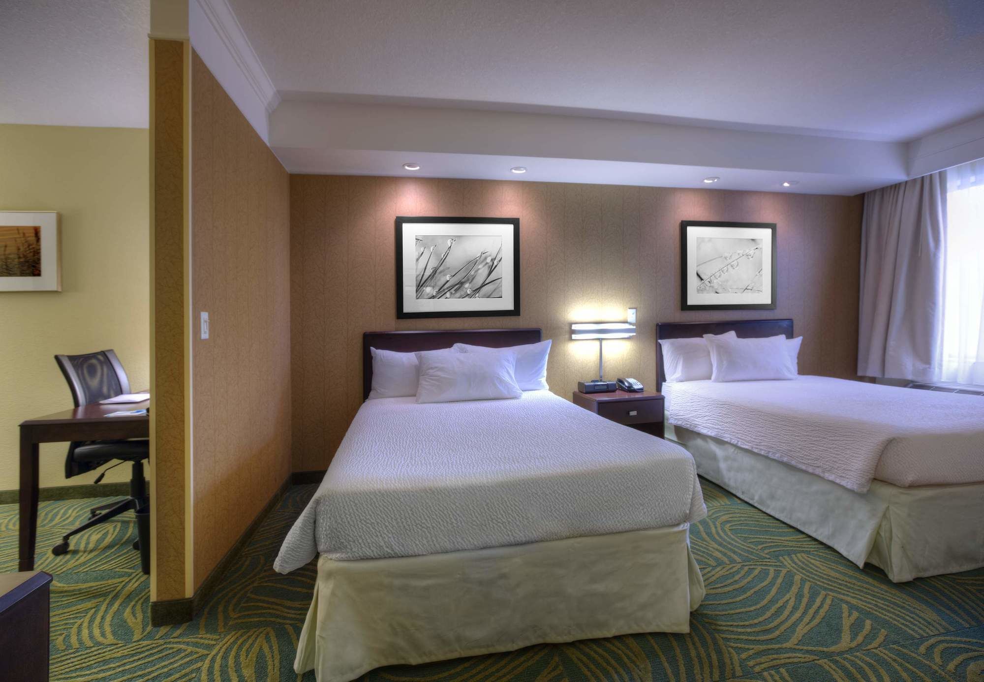 Фото Springhill Suites by Marriott Tampa Brandon