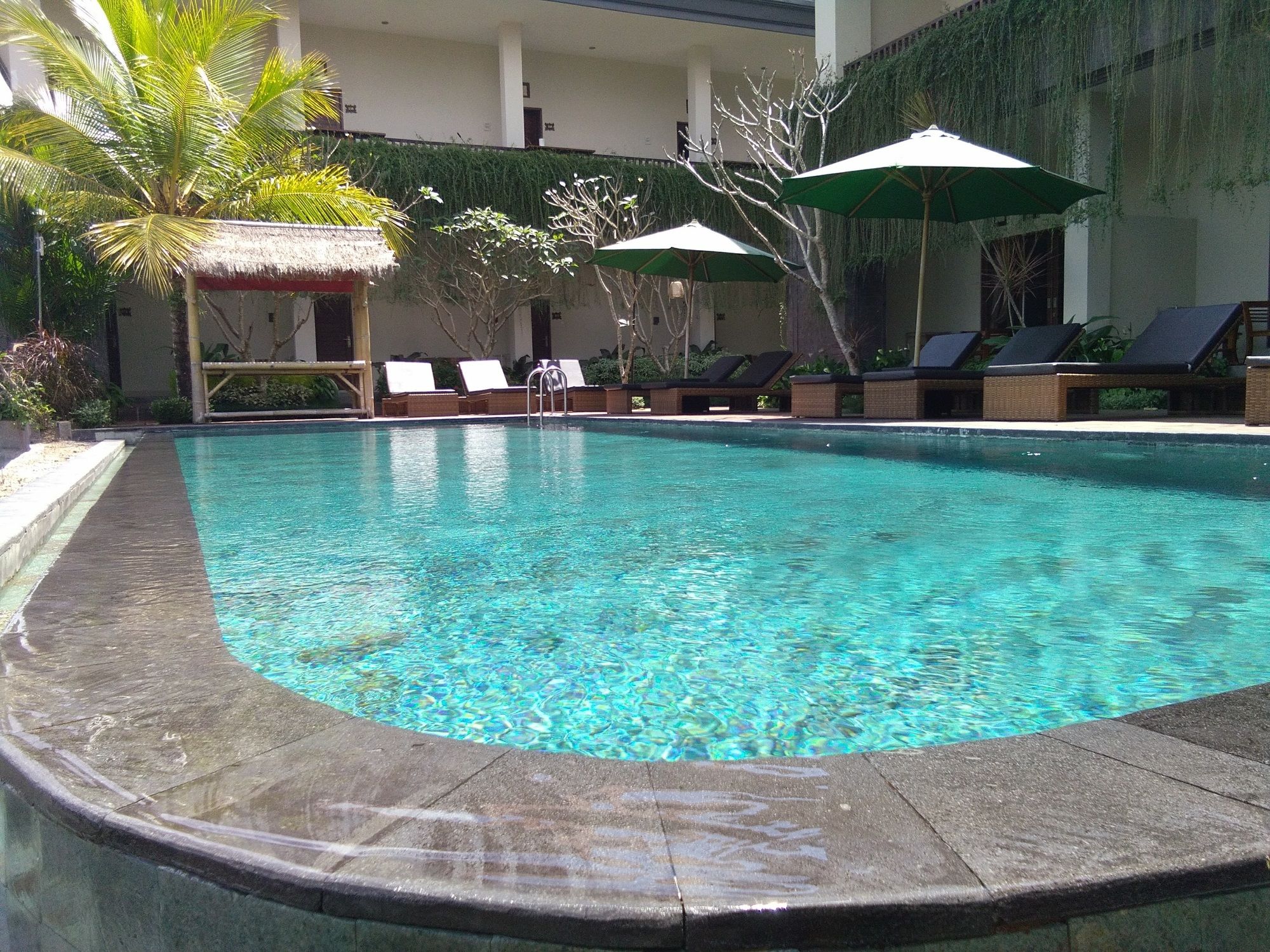 Фото Artini Bisma Ubud Hotel