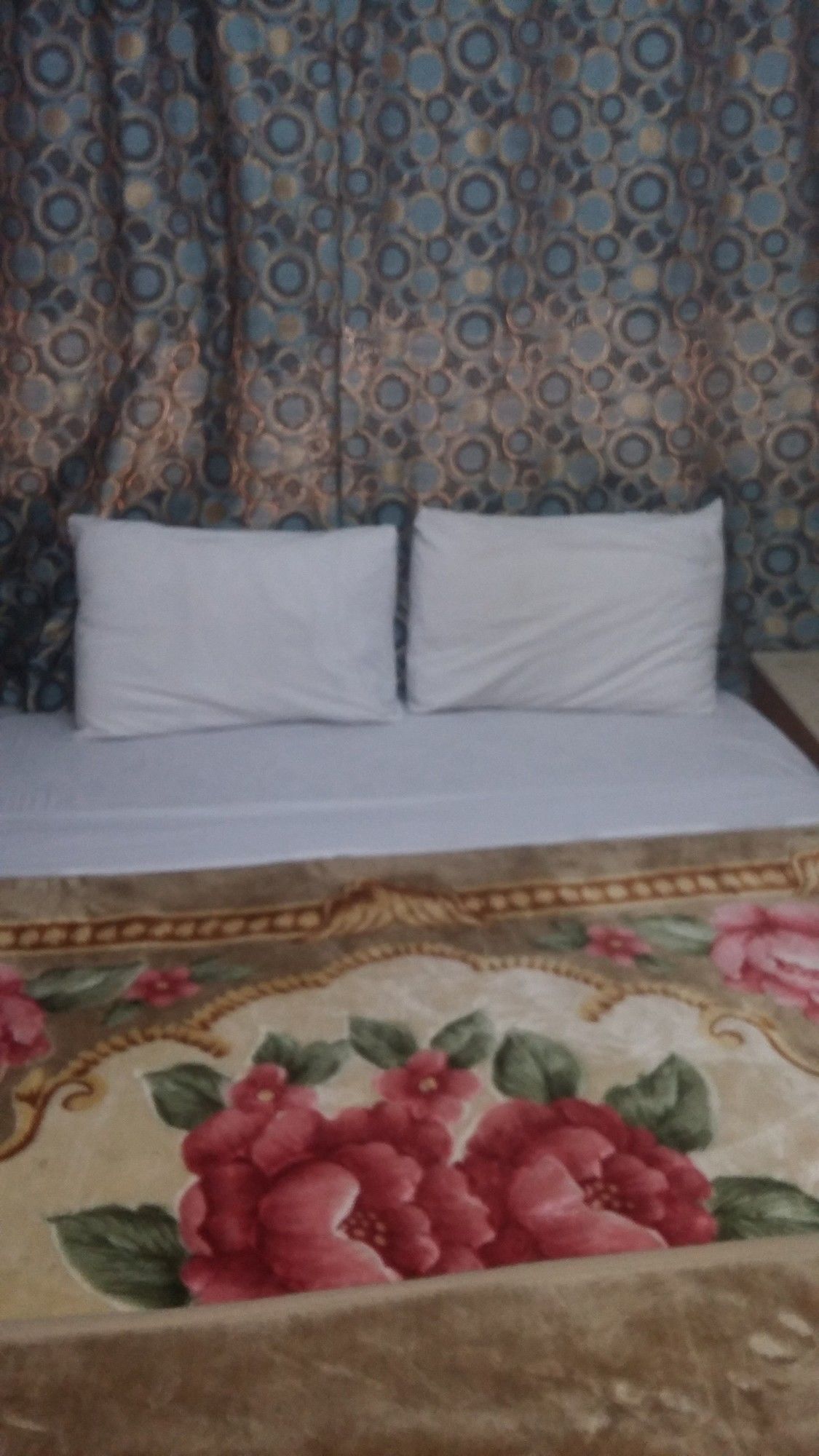 Фото 40721352384