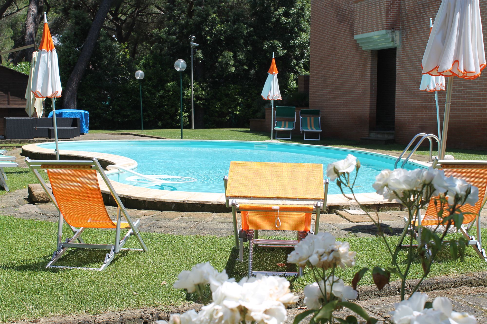 Фото Ricci Hotel