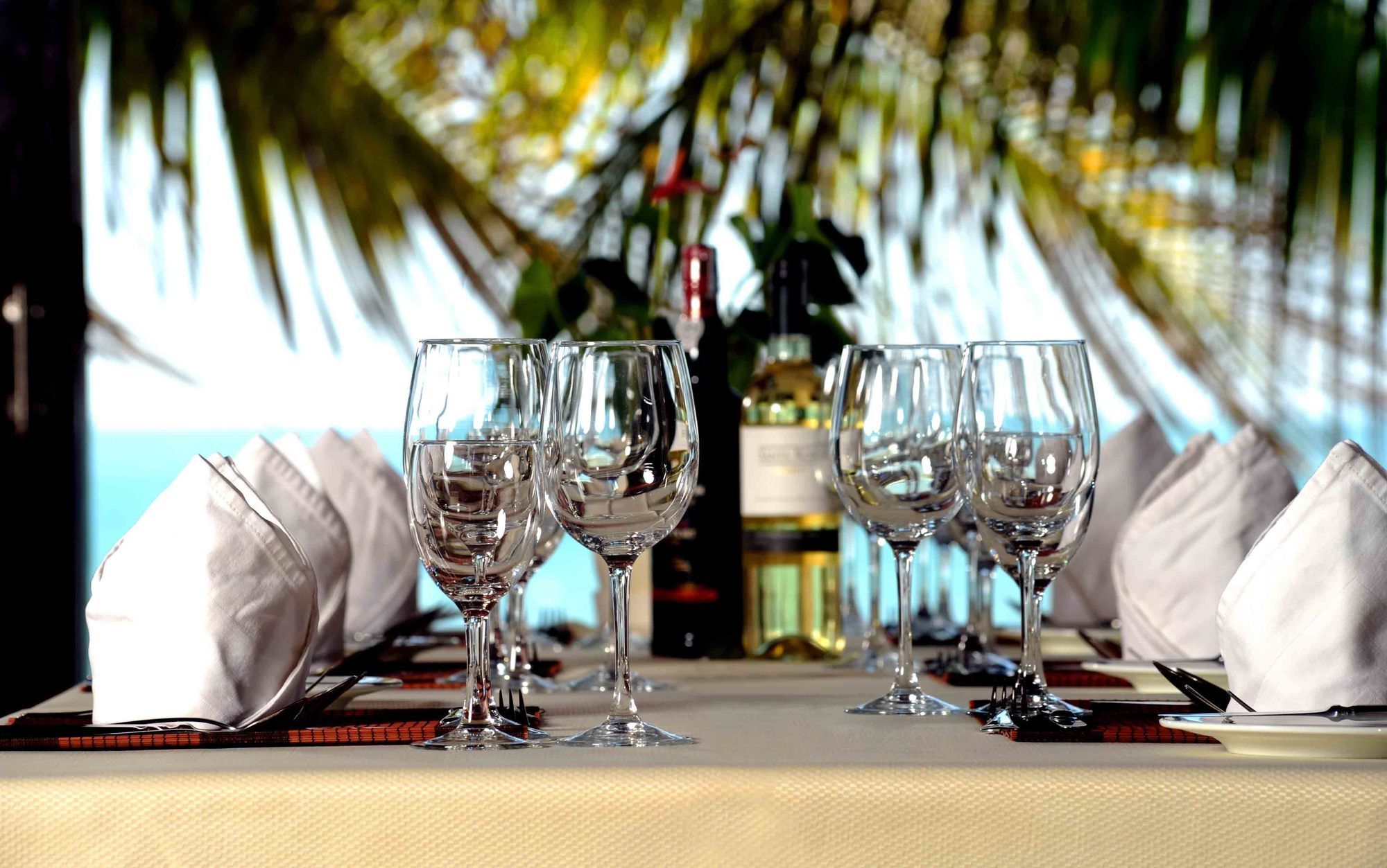 Фото MuiNe Century Beach Resort and SPA