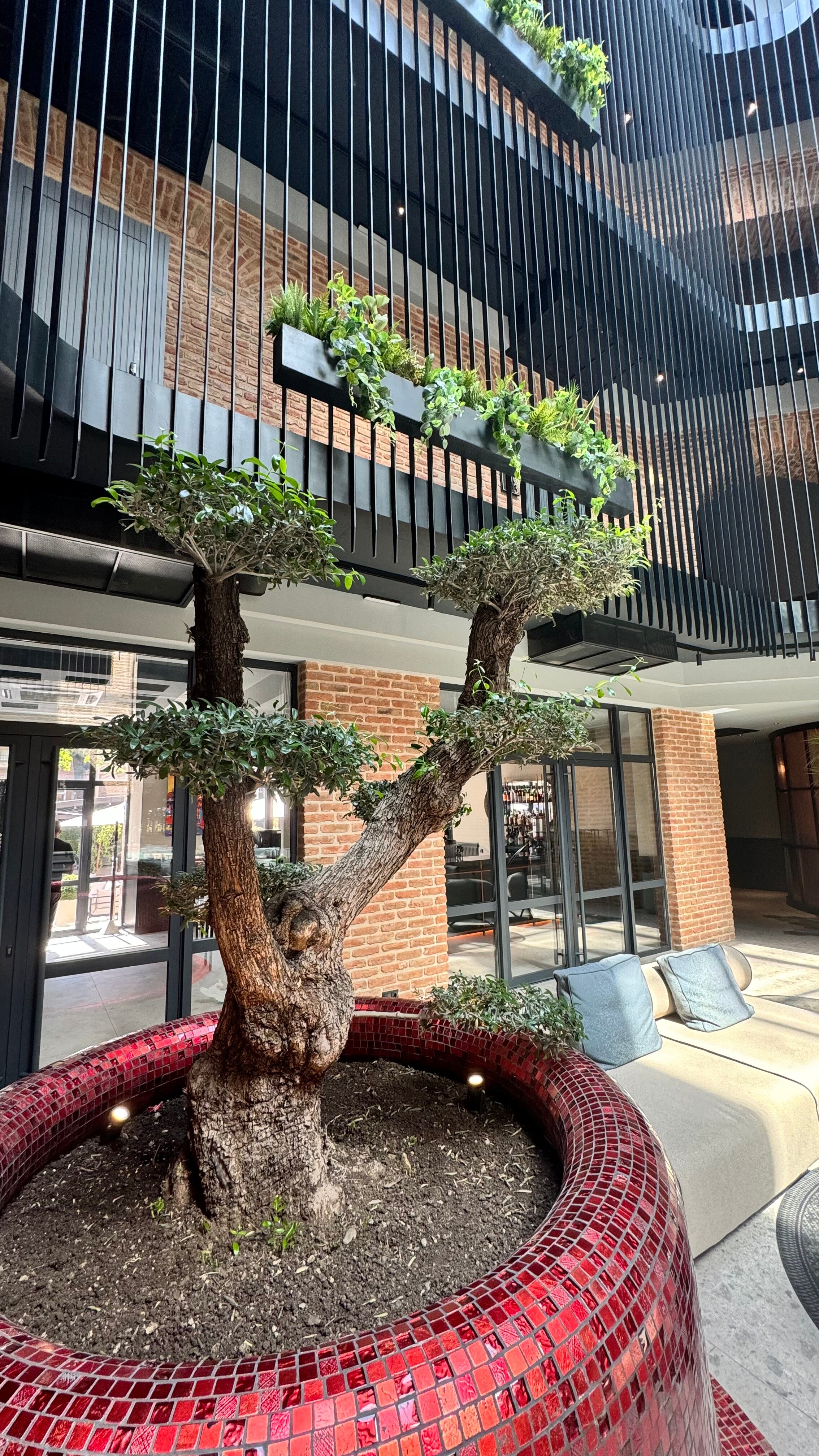 Фото Qarvasla Hotel