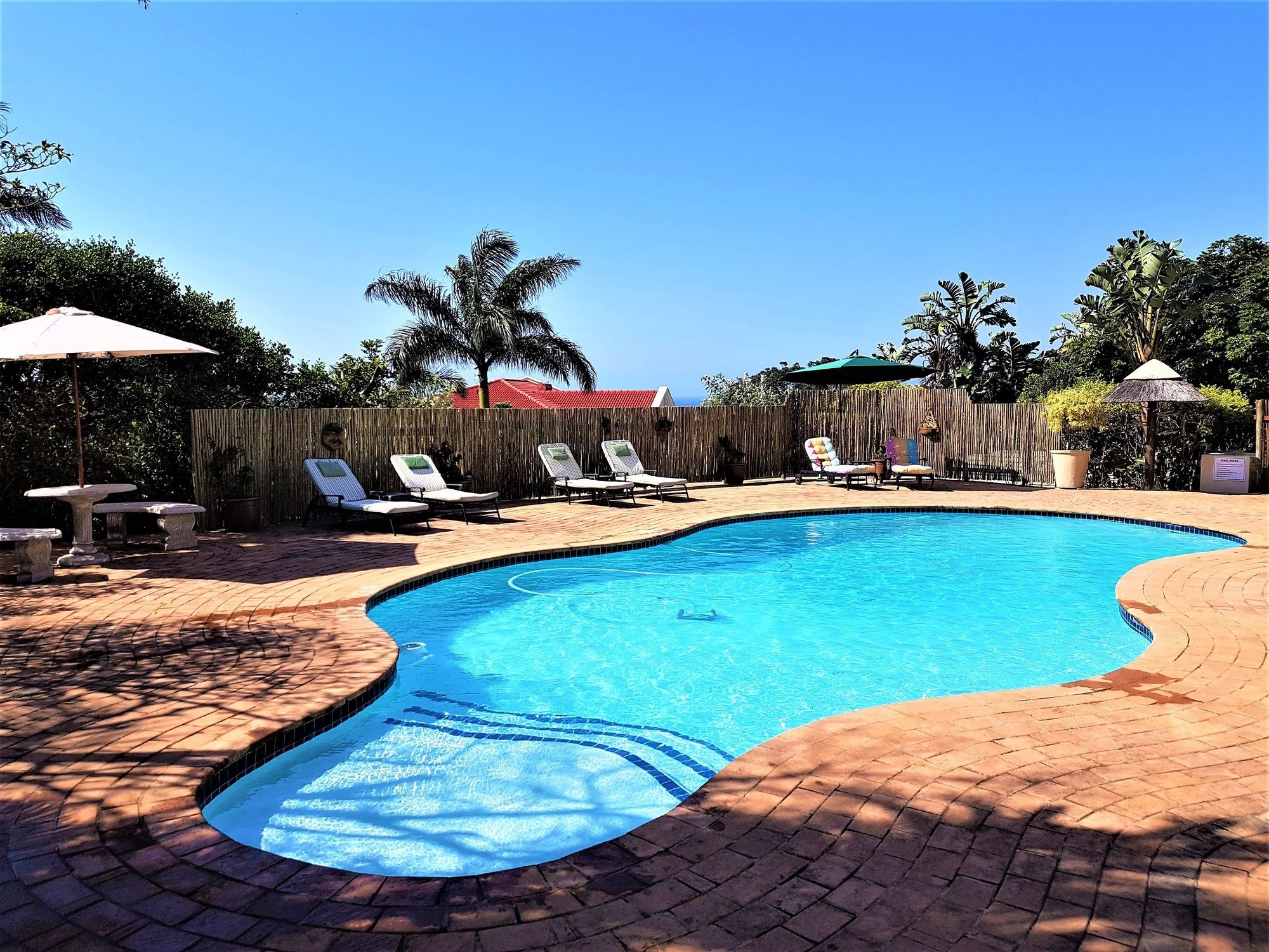 Фото Sunbirds B&b - Adults Only