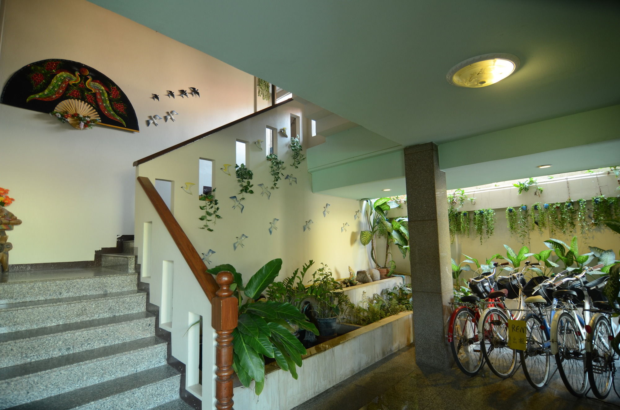 Фото Centro Cnx