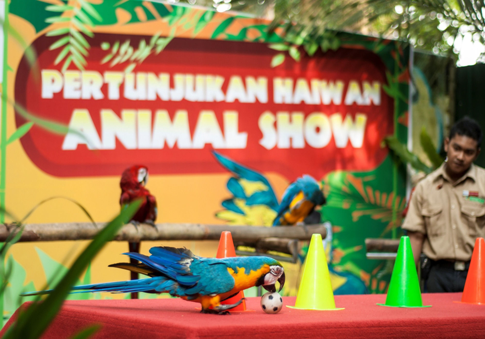 Фото Bukit Merah Laketown Resort