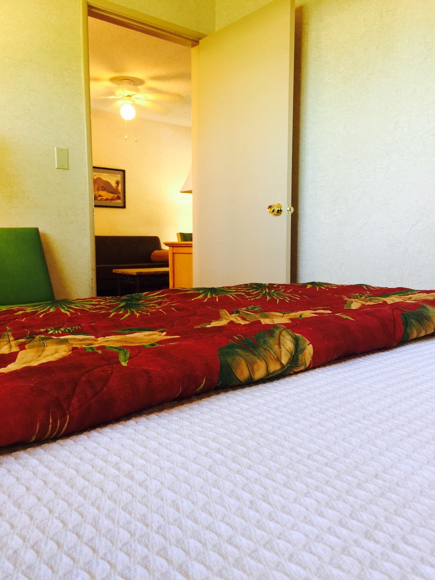 Фото Caliente Tropics Hotel