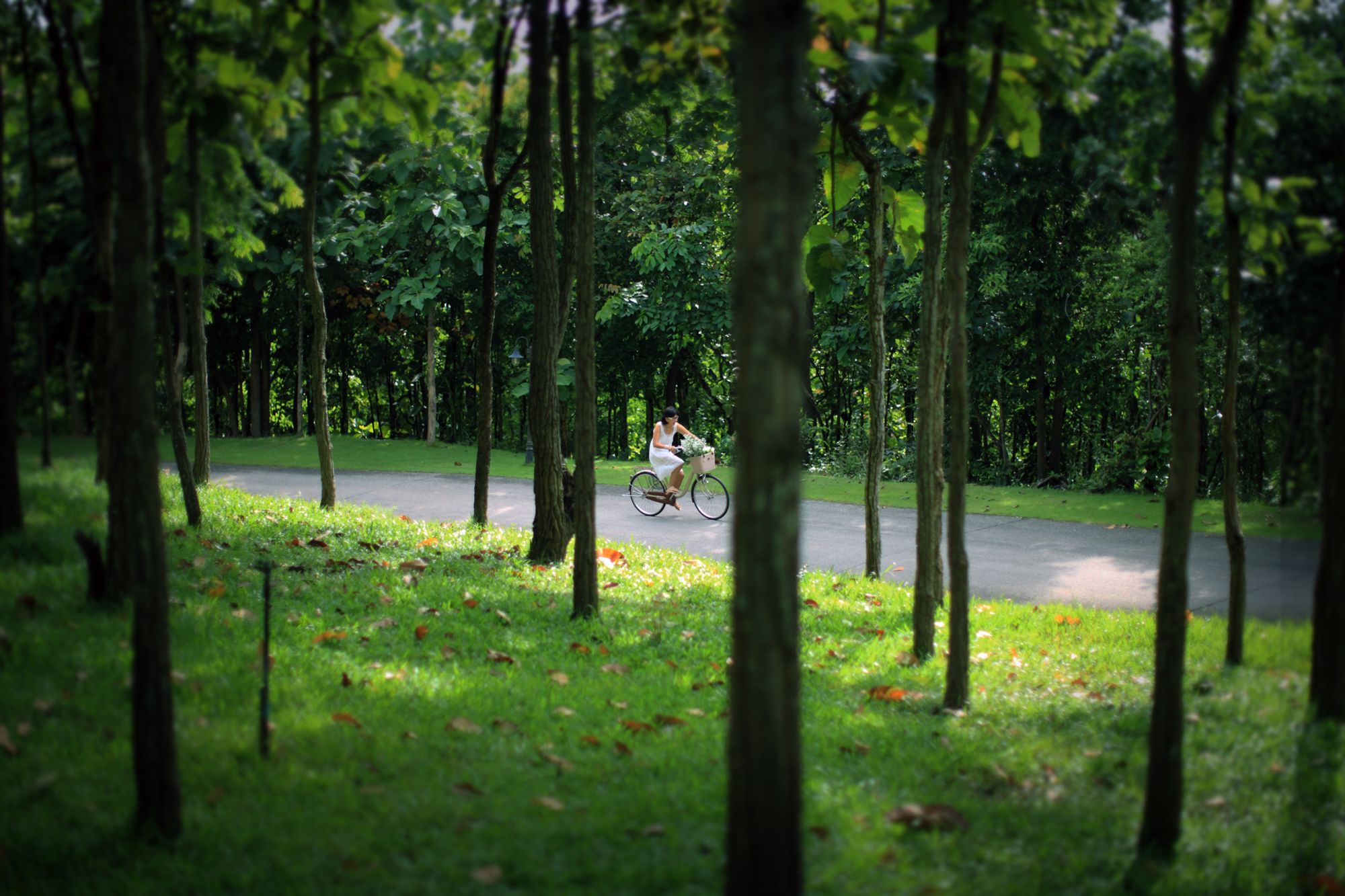 Фото Jirung Health Village