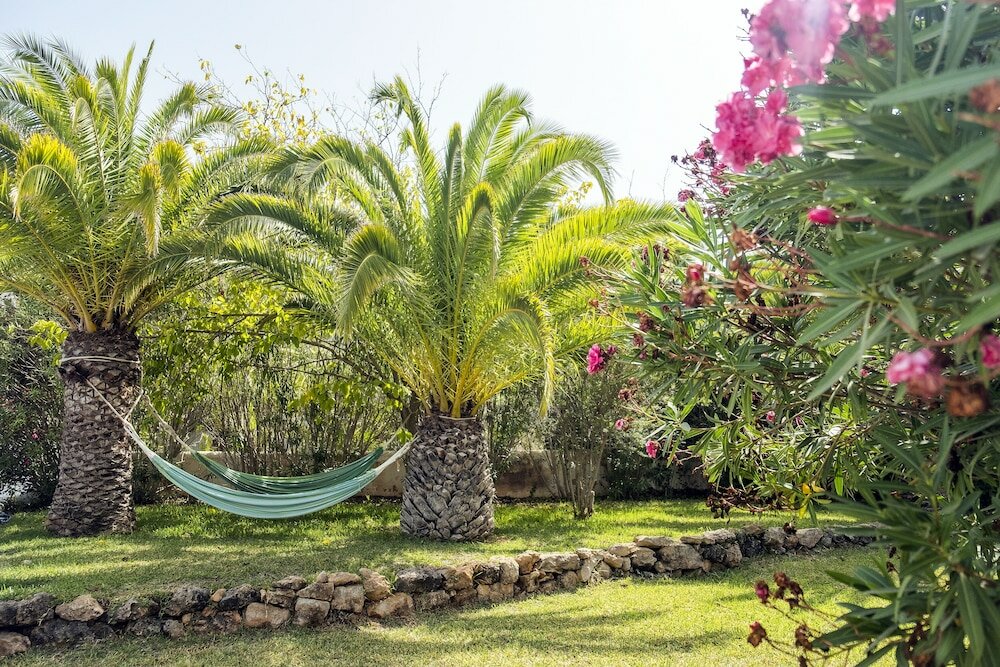 Фото The Palm Star Ibiza - Adults Only