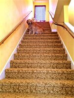 Фото Palm Beach Historic Inn