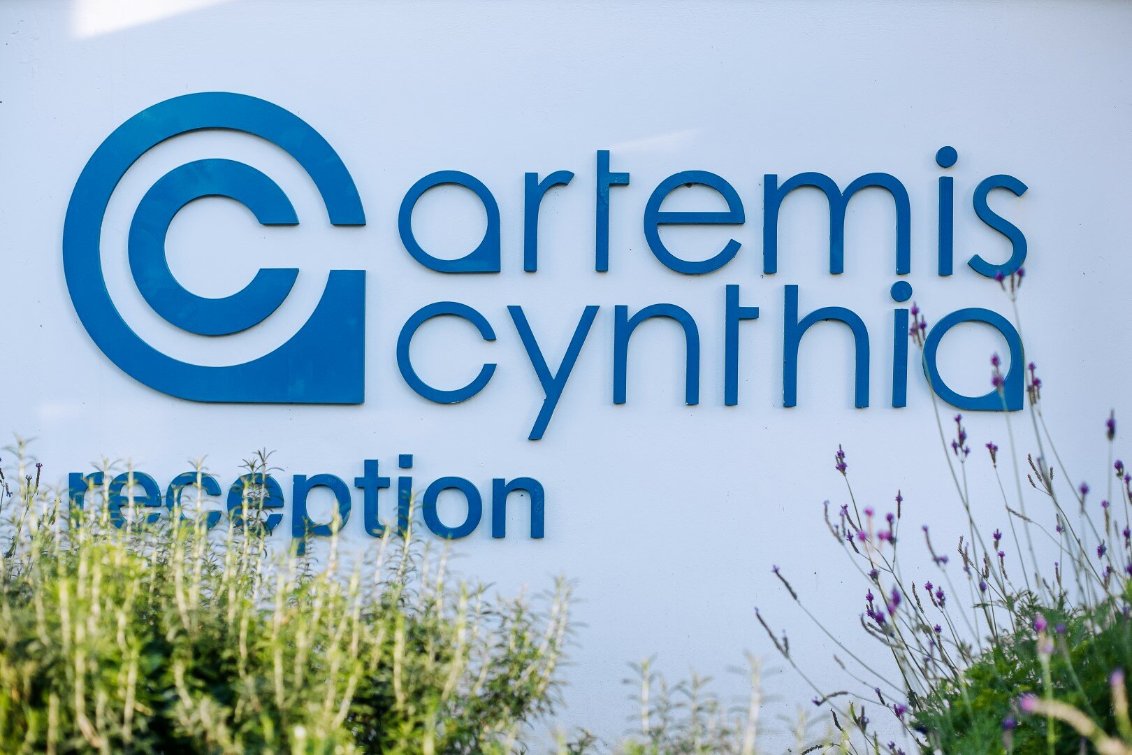 Фото Artemis Cynthia Complex