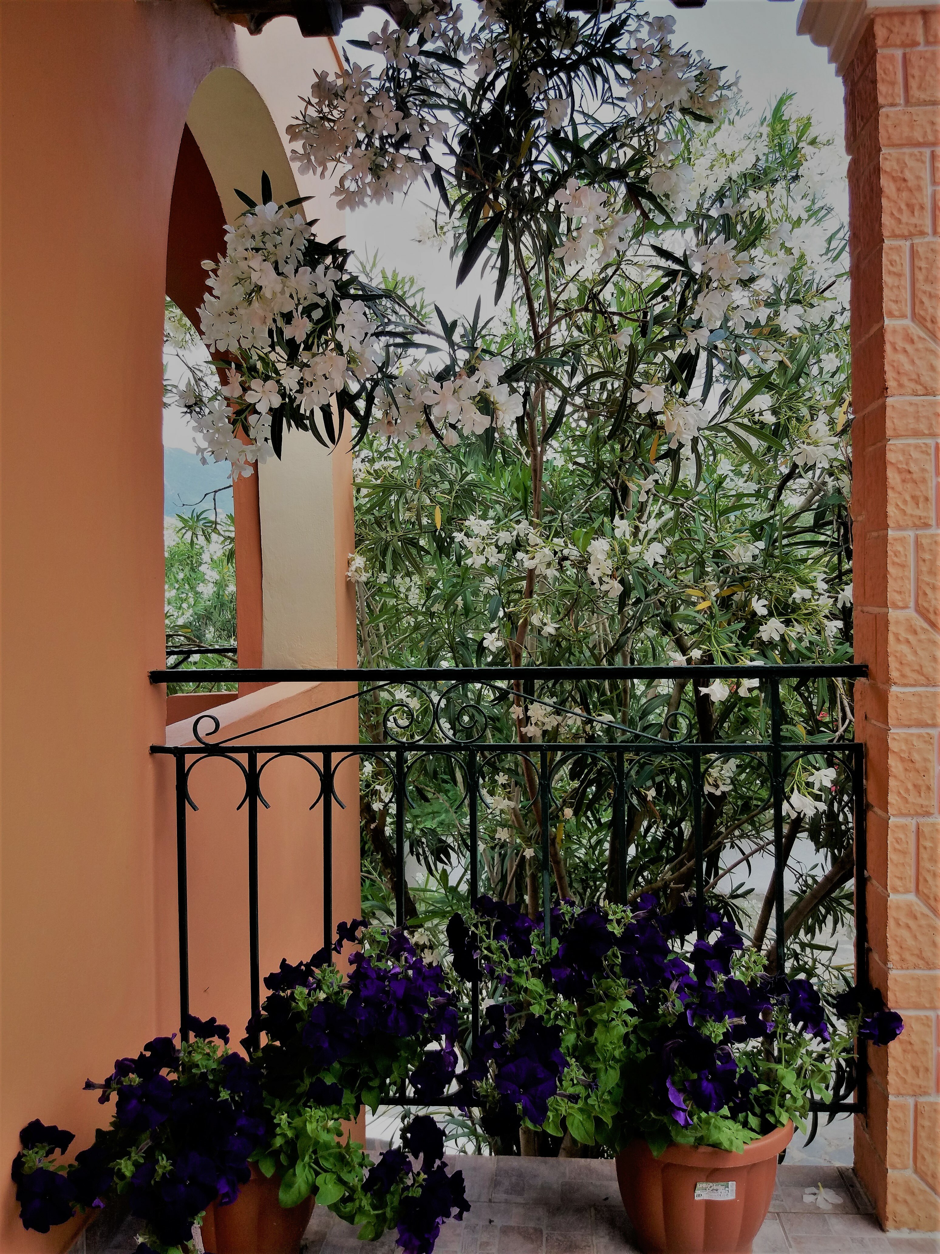 Фото Ziogas Apartments