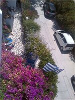 Фото Pelagos Studios