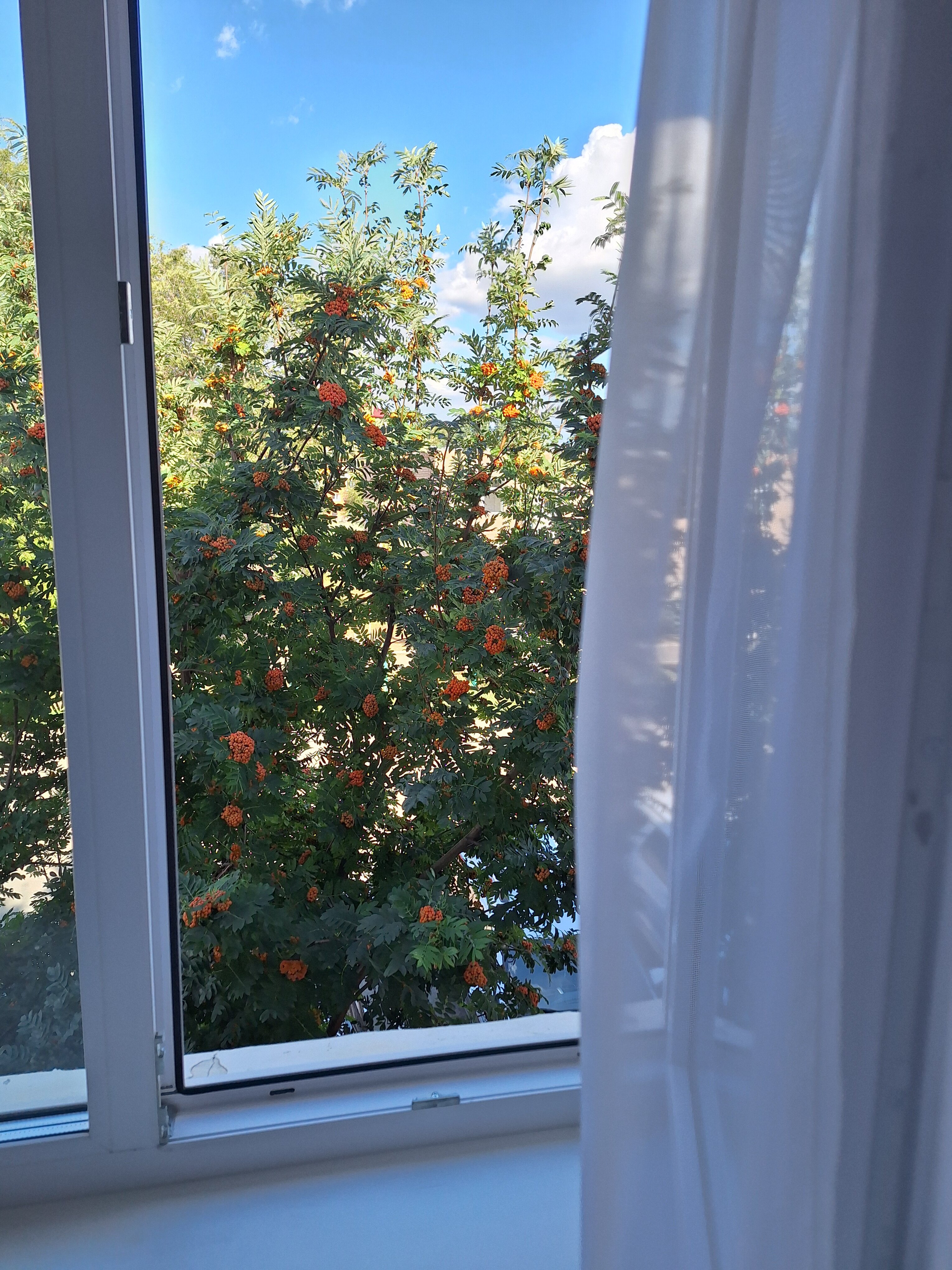 Фото Времена года